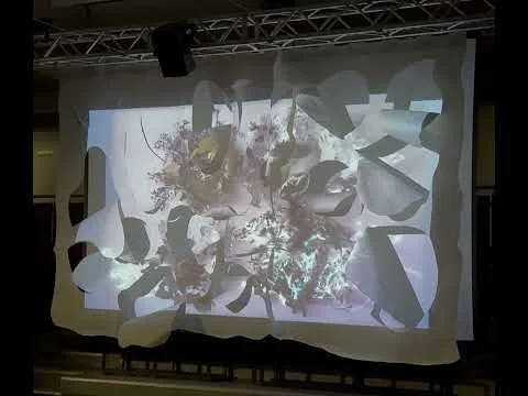 Kelly Cumberland, Segmentation LN24