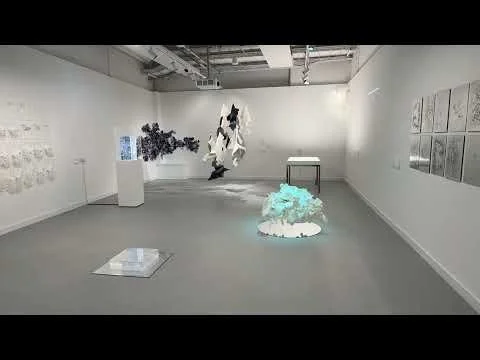 Kelly Cumberland, Assembloids: Drawn a Live, Exhibition View