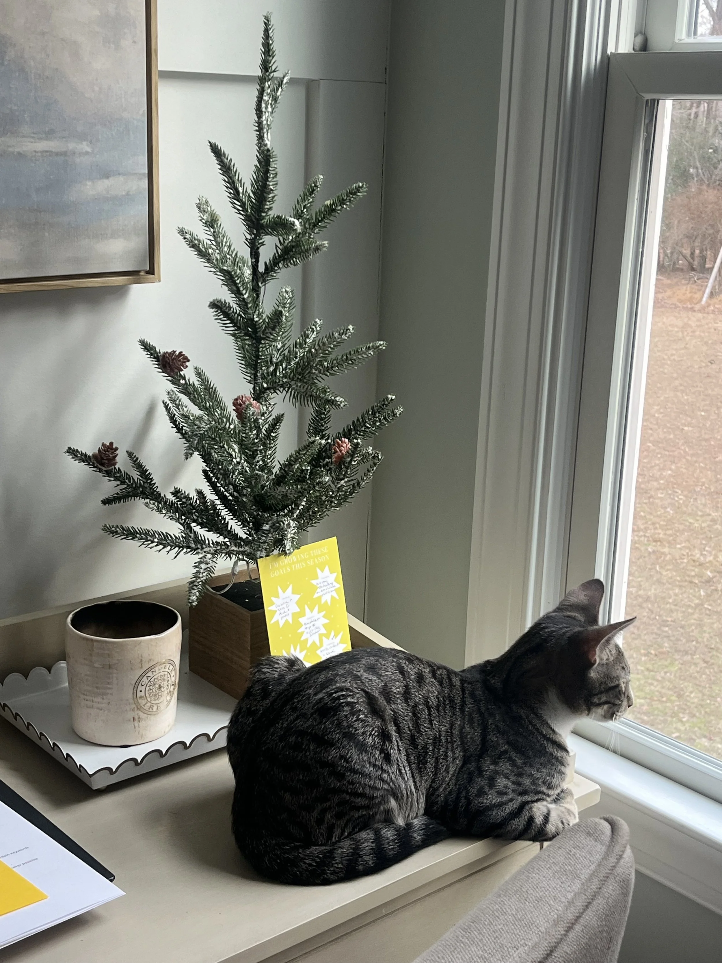 MORE SPACE | Making Room for Winter