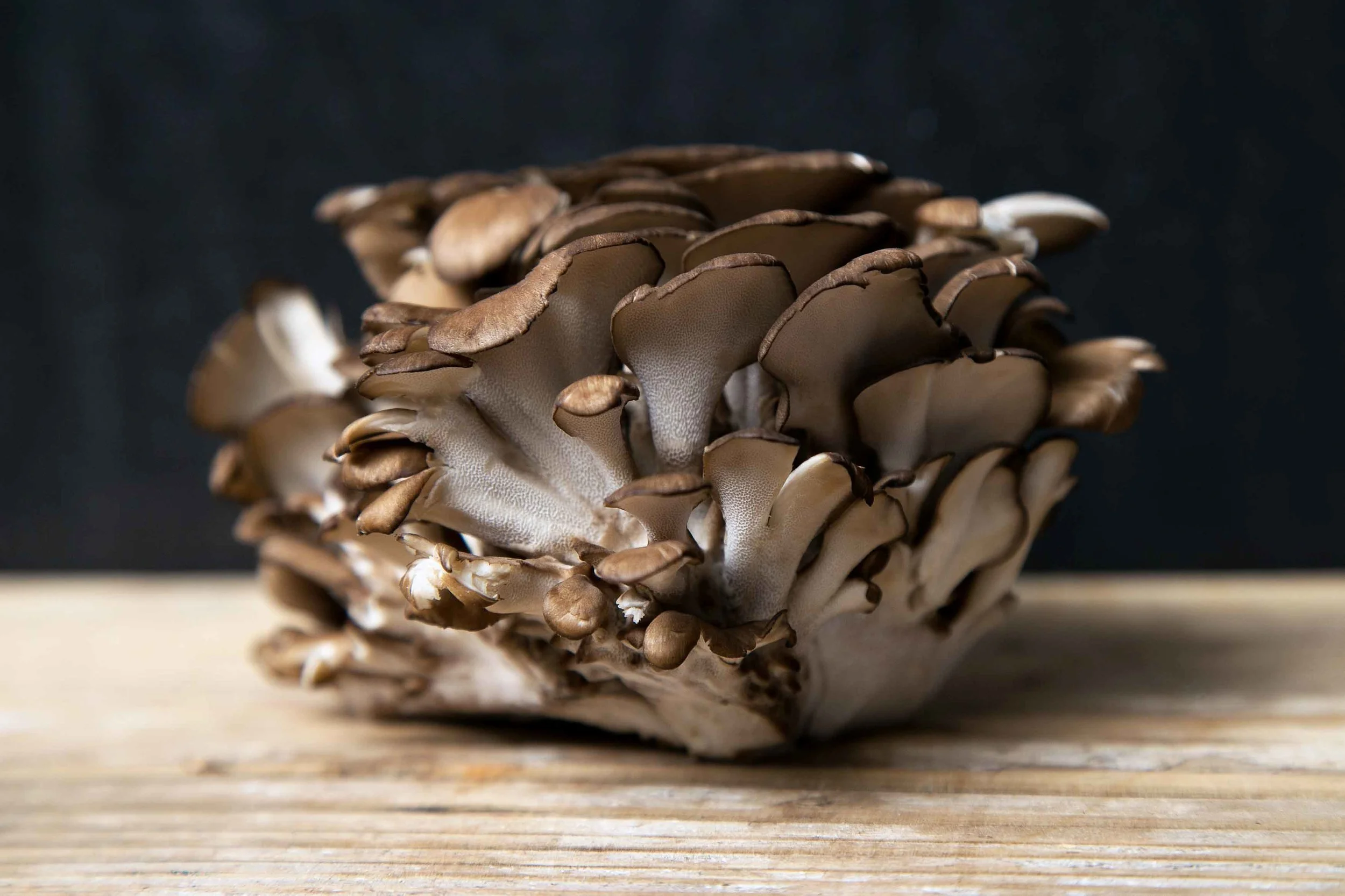 Maitake Mushroom Capsules Maitake Mushroom Capsules