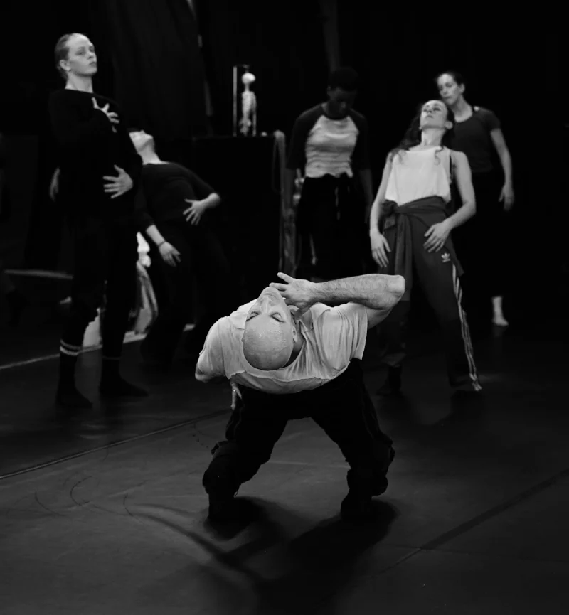 Appvd for ed projects & audition notice - Photo by Dana Fouras.jpg