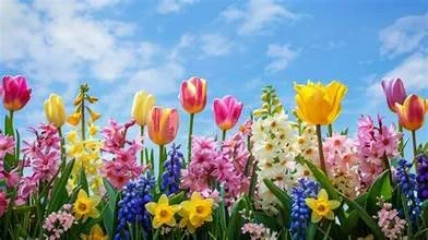 SPRING AWAKENINGS VENDOR FAIR