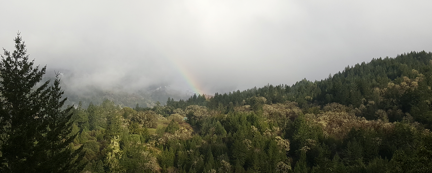 rainbow.png