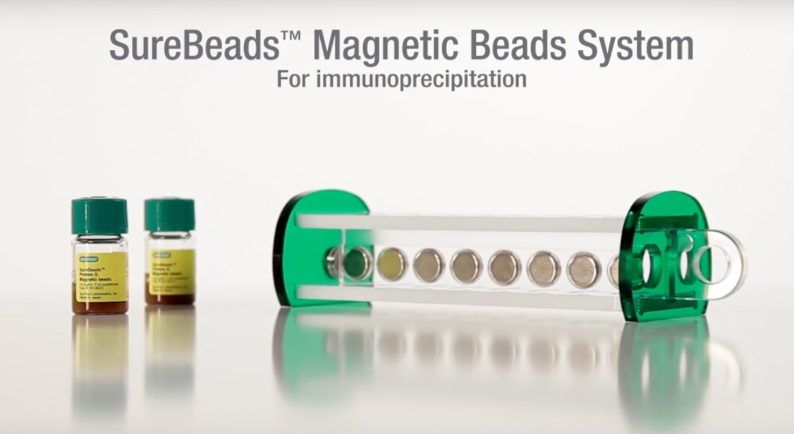SureBeads™ Magnetic Bead System for Immunoprecipitation