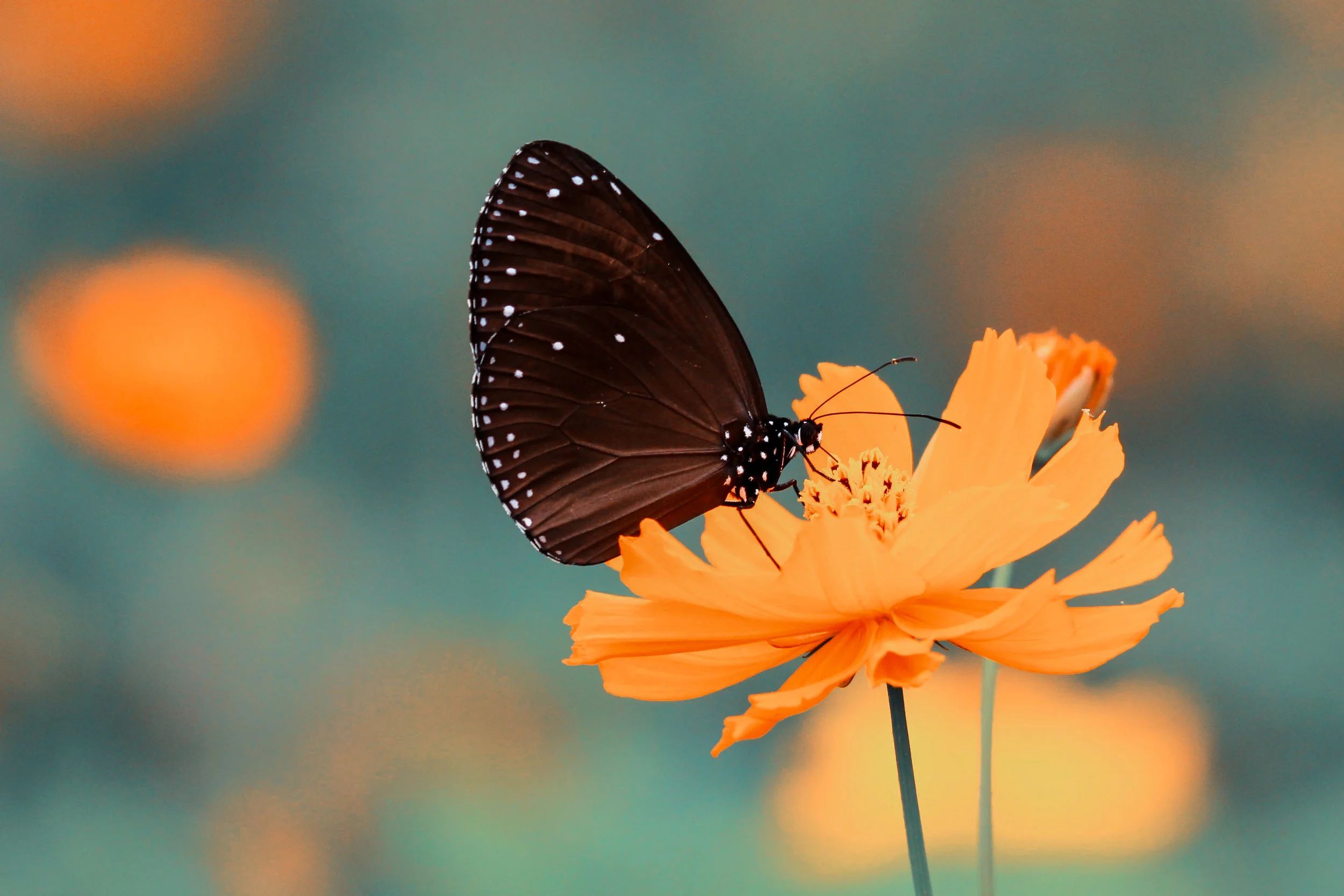How To Create New Possibilities For Your Life