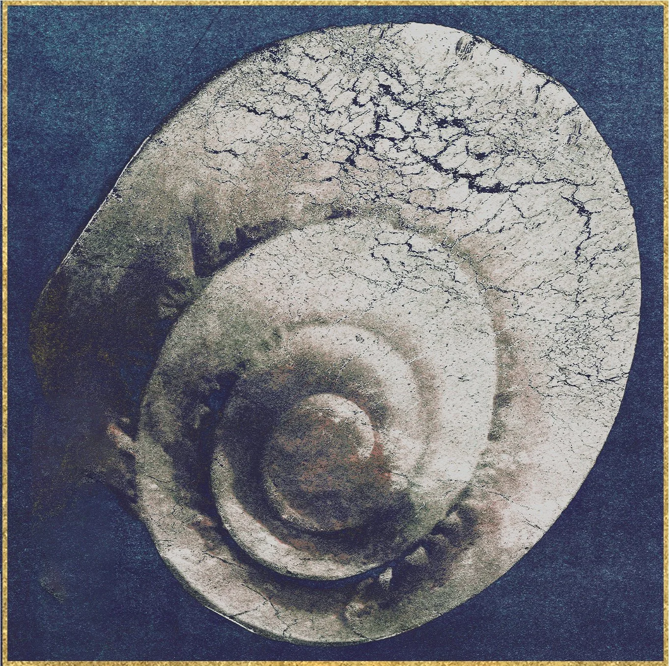Close-up of a weathered seashell with a spiral shape and cracked surface, set against a dark background with a gold border.