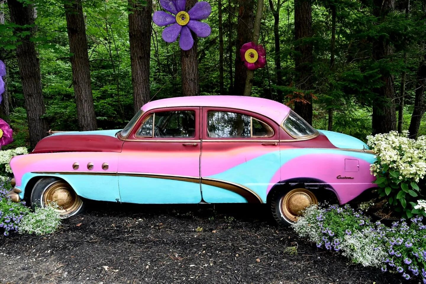 #car #vintage #colors #forest #plants