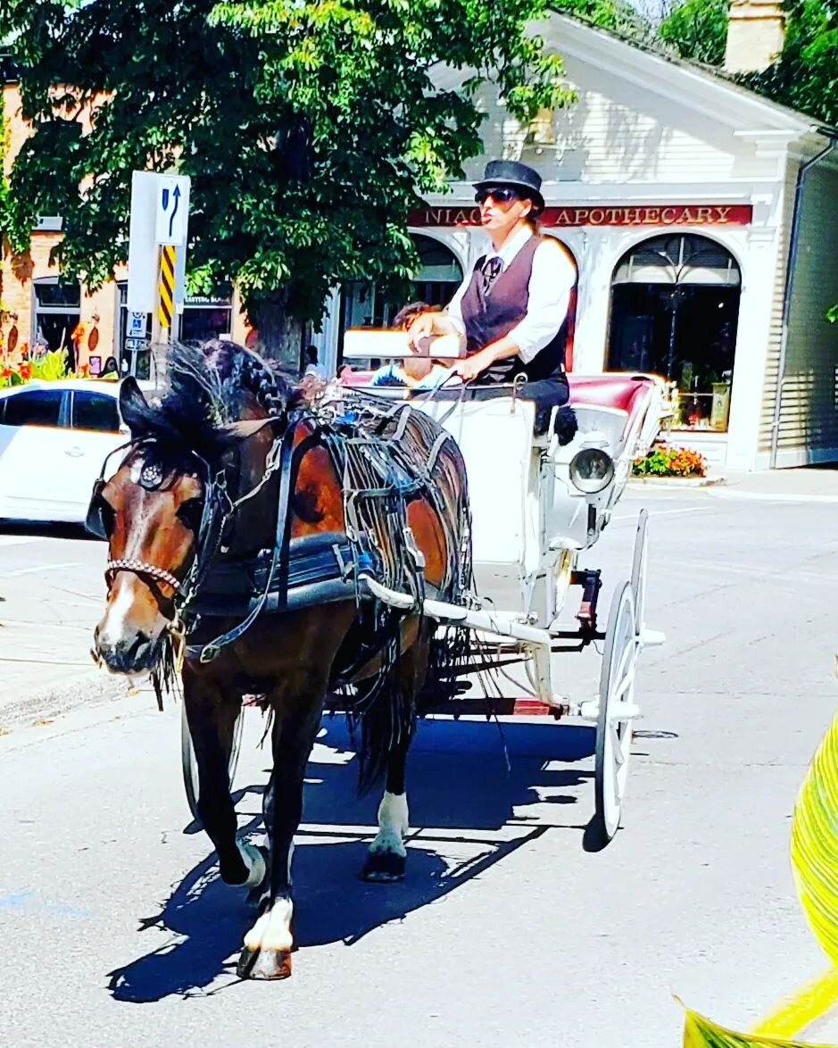 #horse #carriage