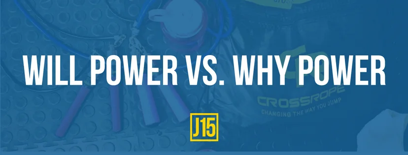 will vs why.jpg