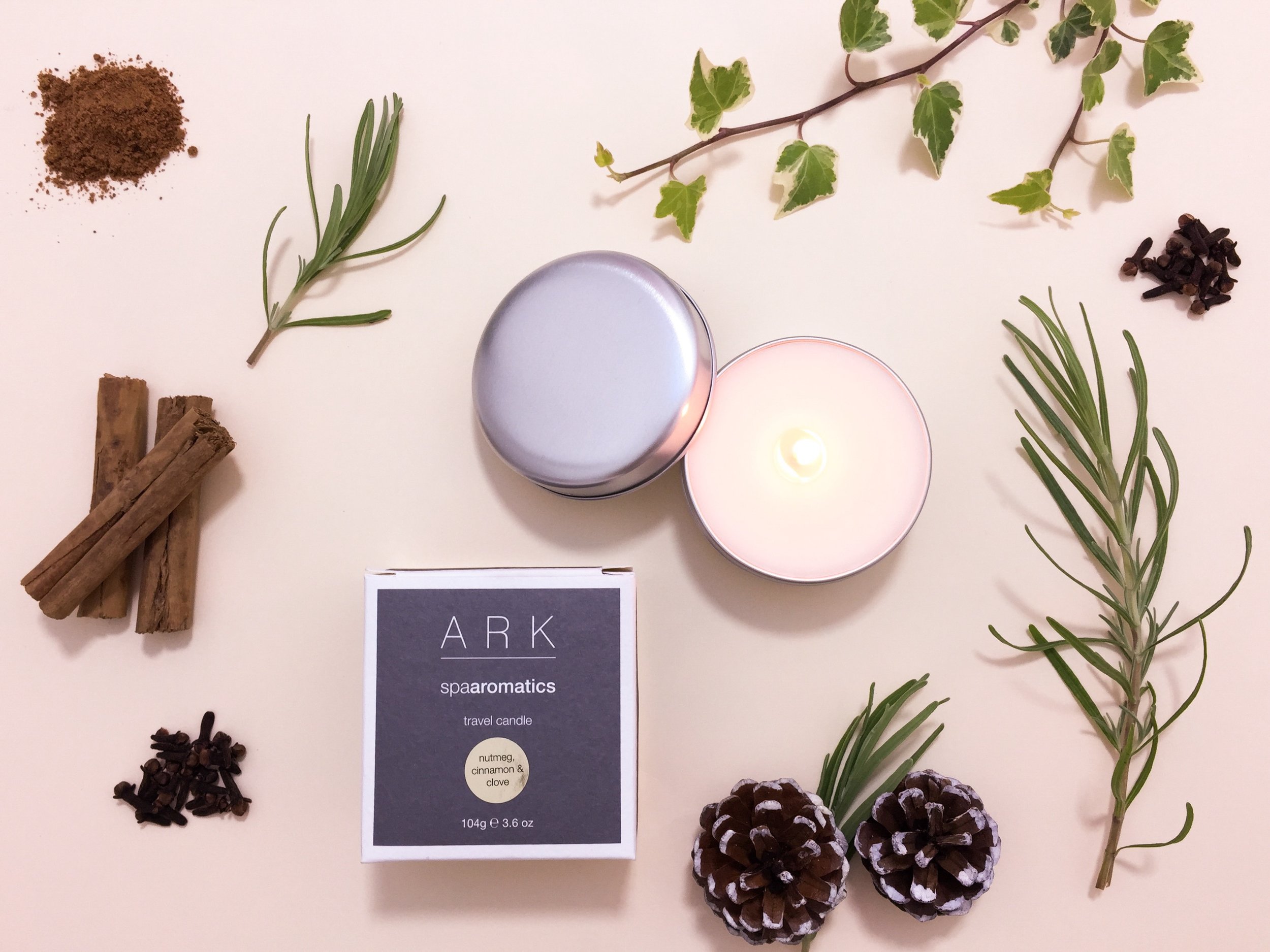 ARK Christmas Candle 1 copy.JPG