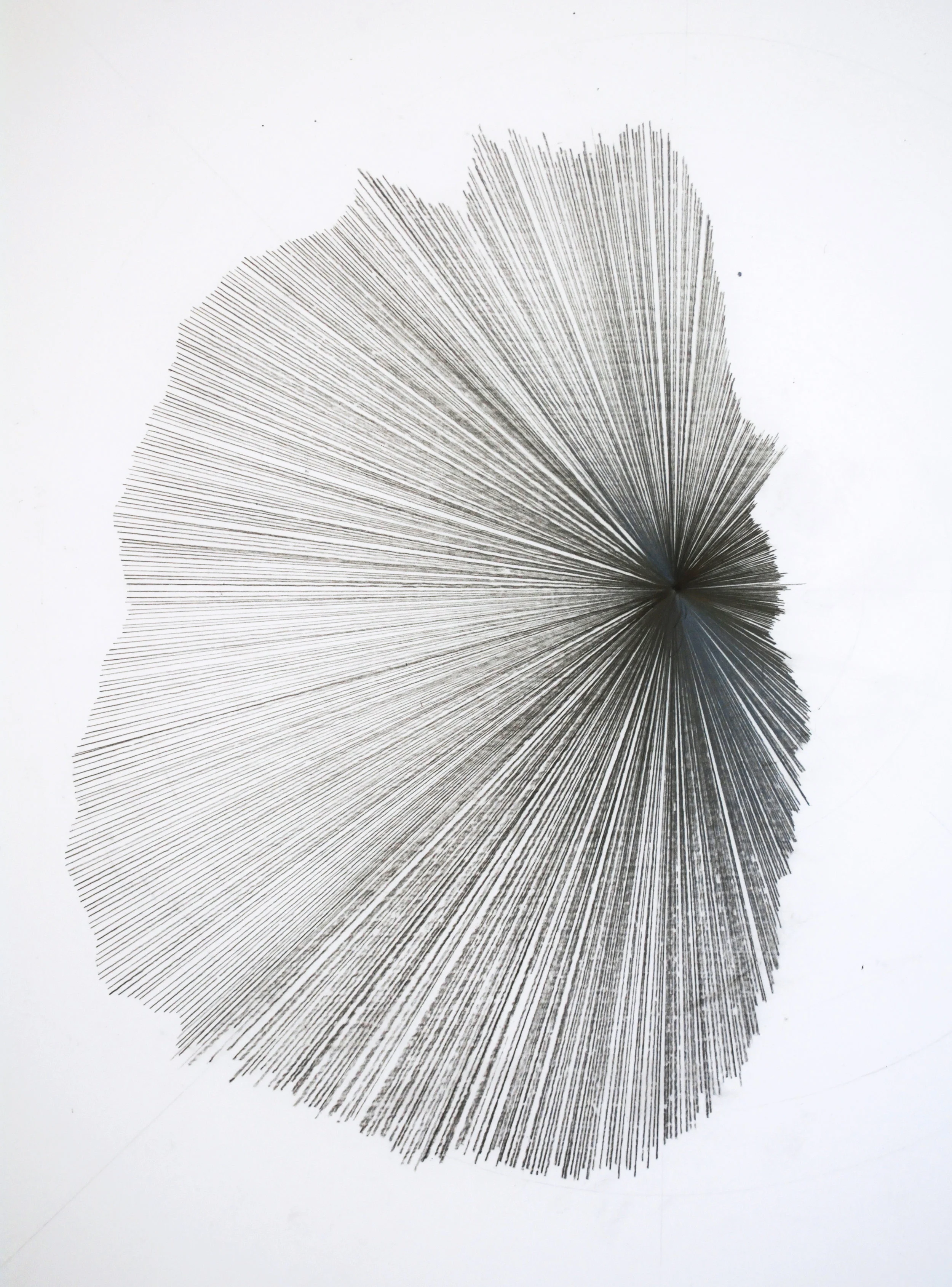 4_diagram_Dakota Cooley_02a.JPG