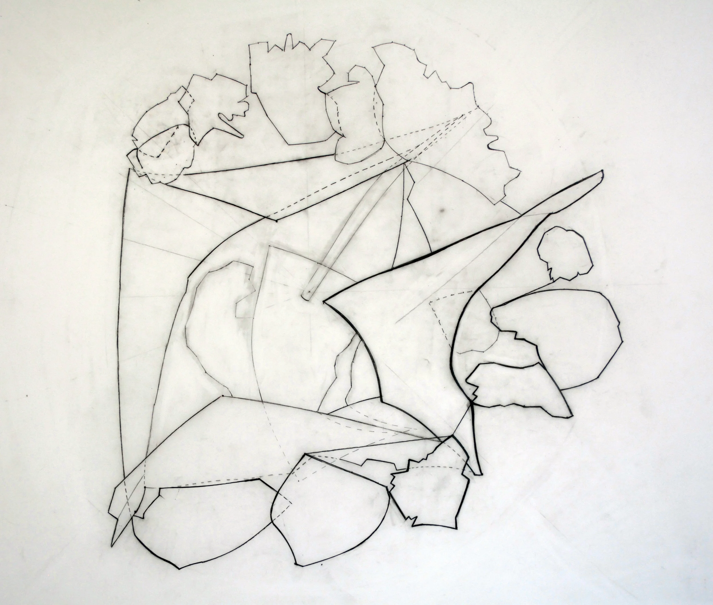 4_plan_Dakota Cooley_01.JPG