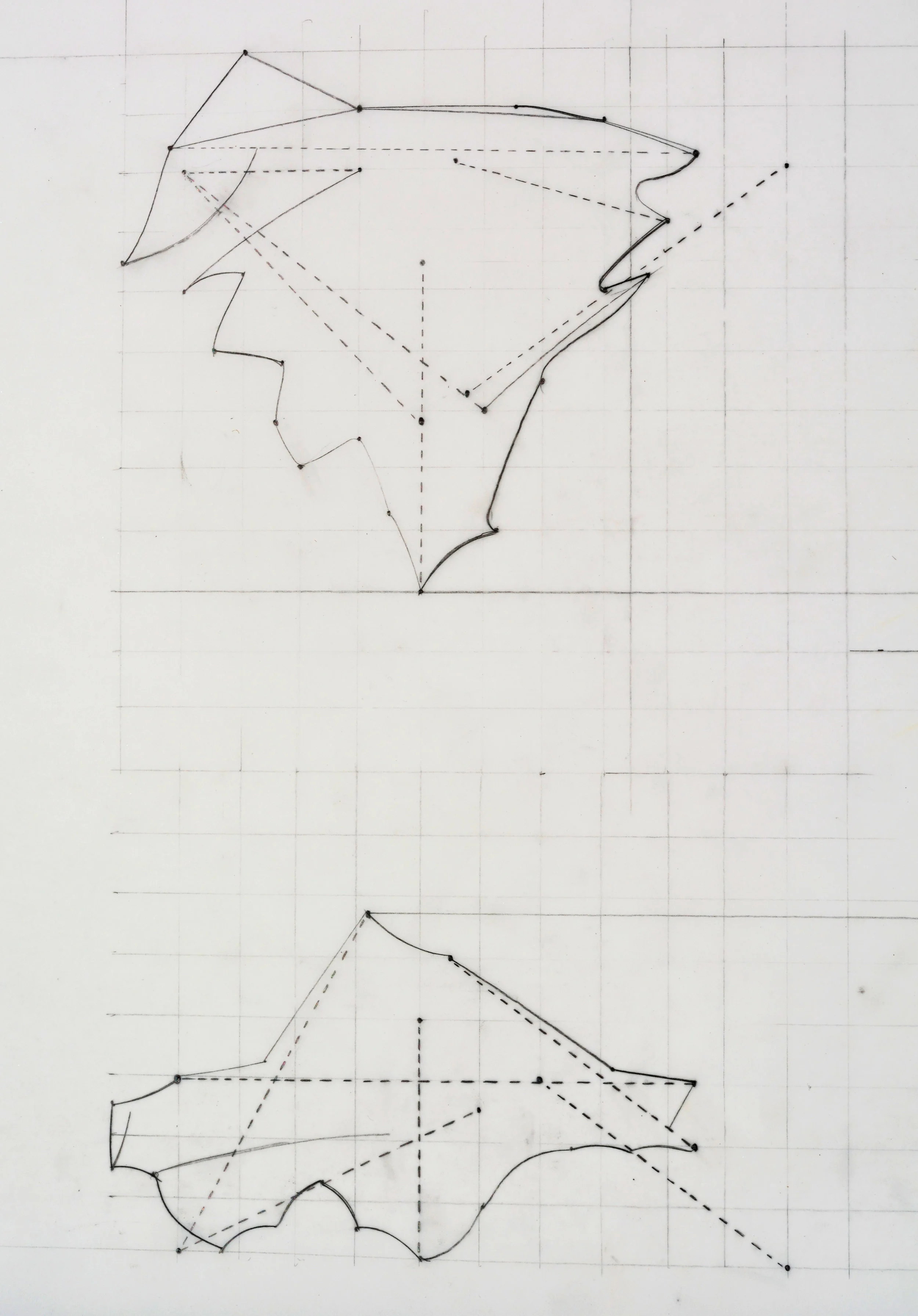 4_section study_Dakota Cooley_01.JPG