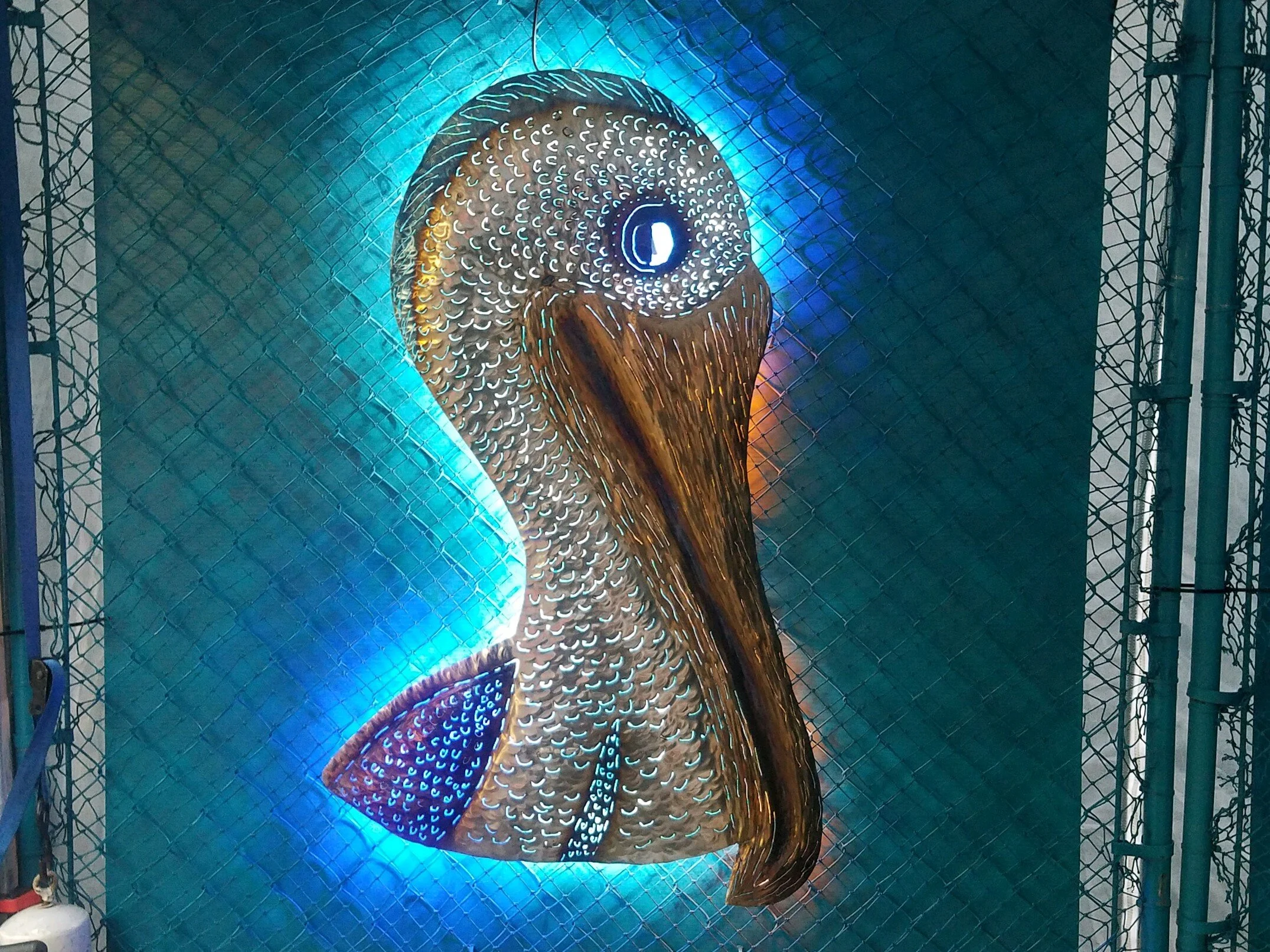 Pelican Bust