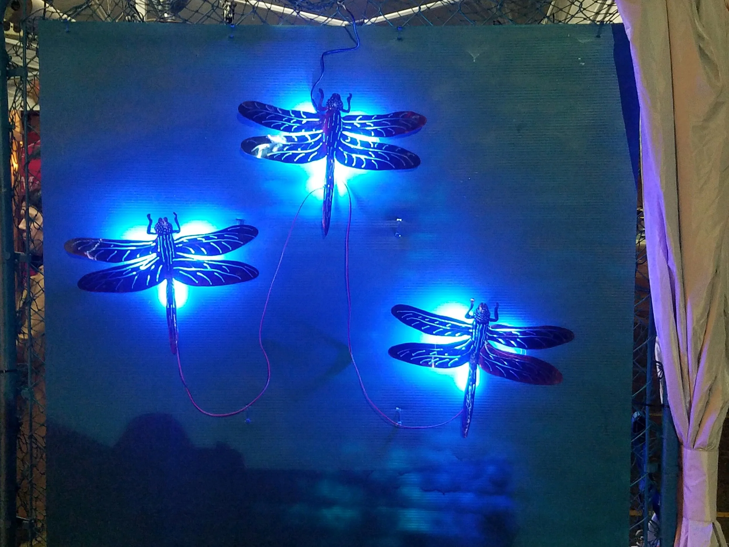Dragonflies