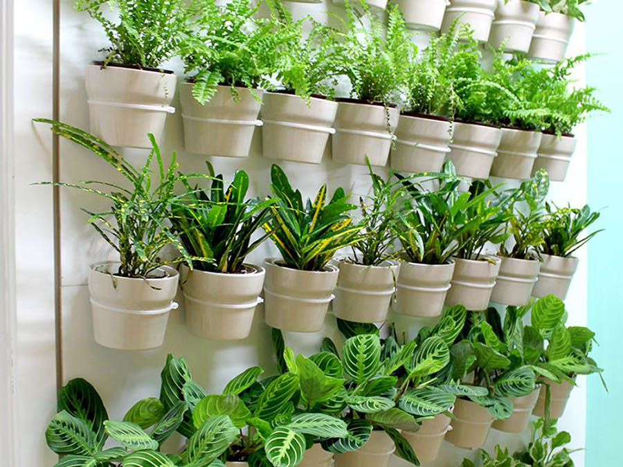 DIY Green wall with zip ties and flower pots