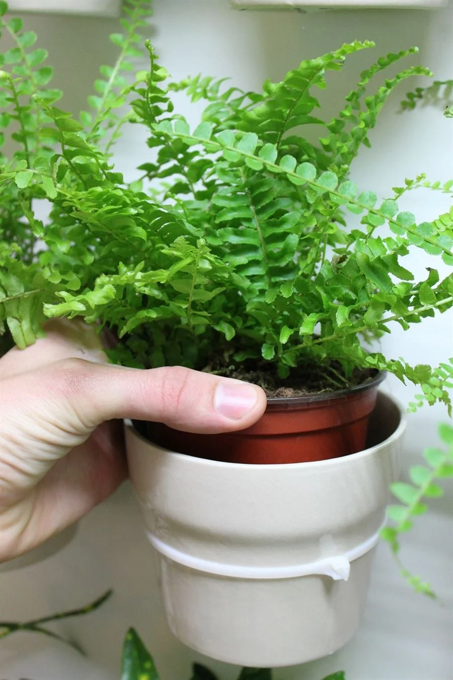 Simple Green Wall Construction for Wall Art