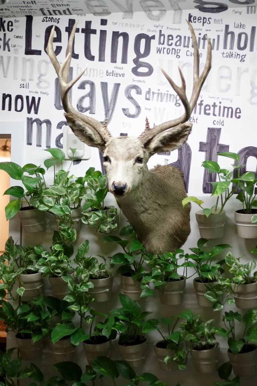 Taxidermy on top of Greenwall with Mural