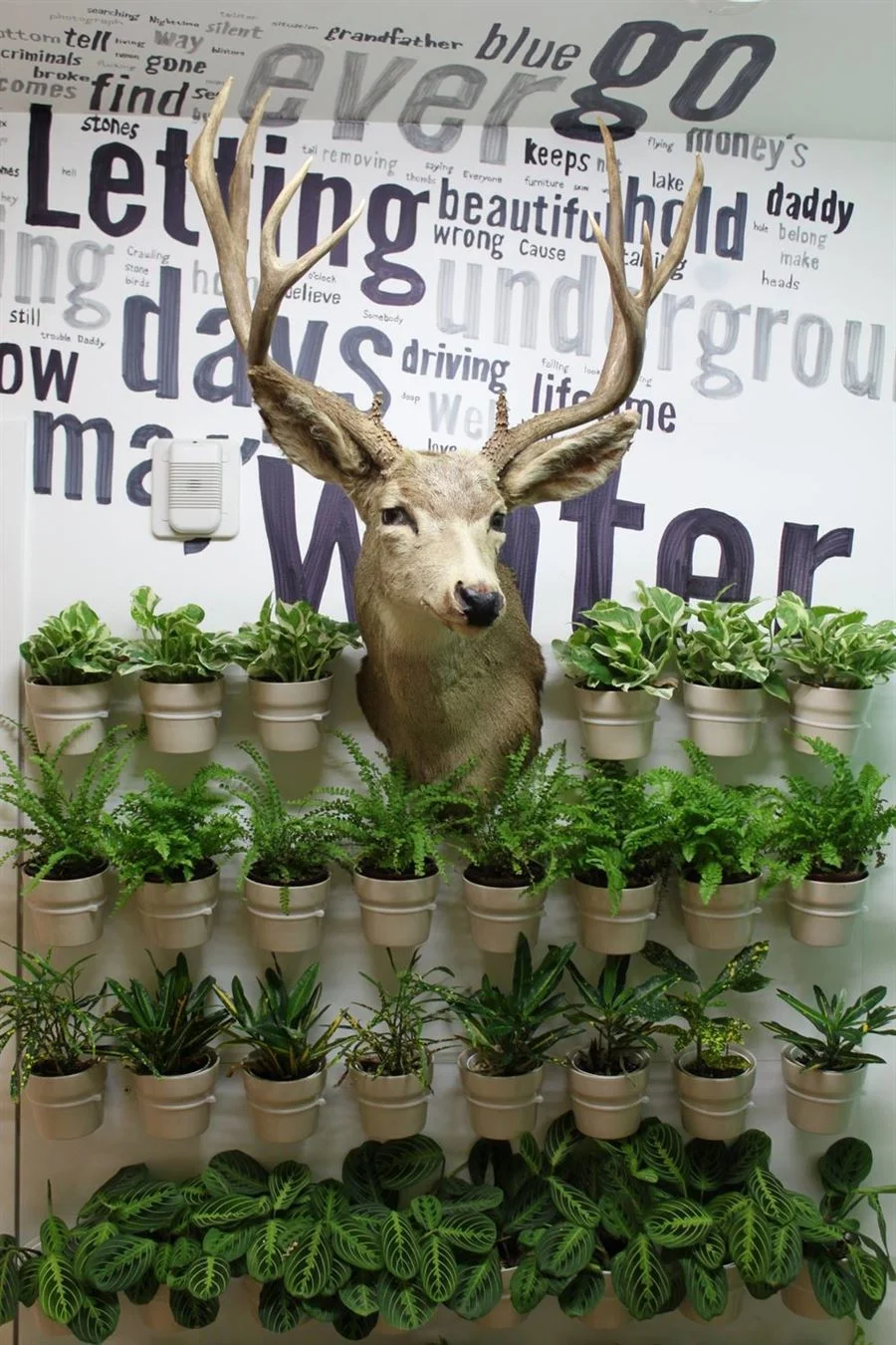 Bittiker-Architecture-Greenwall-Installation1.jpg
