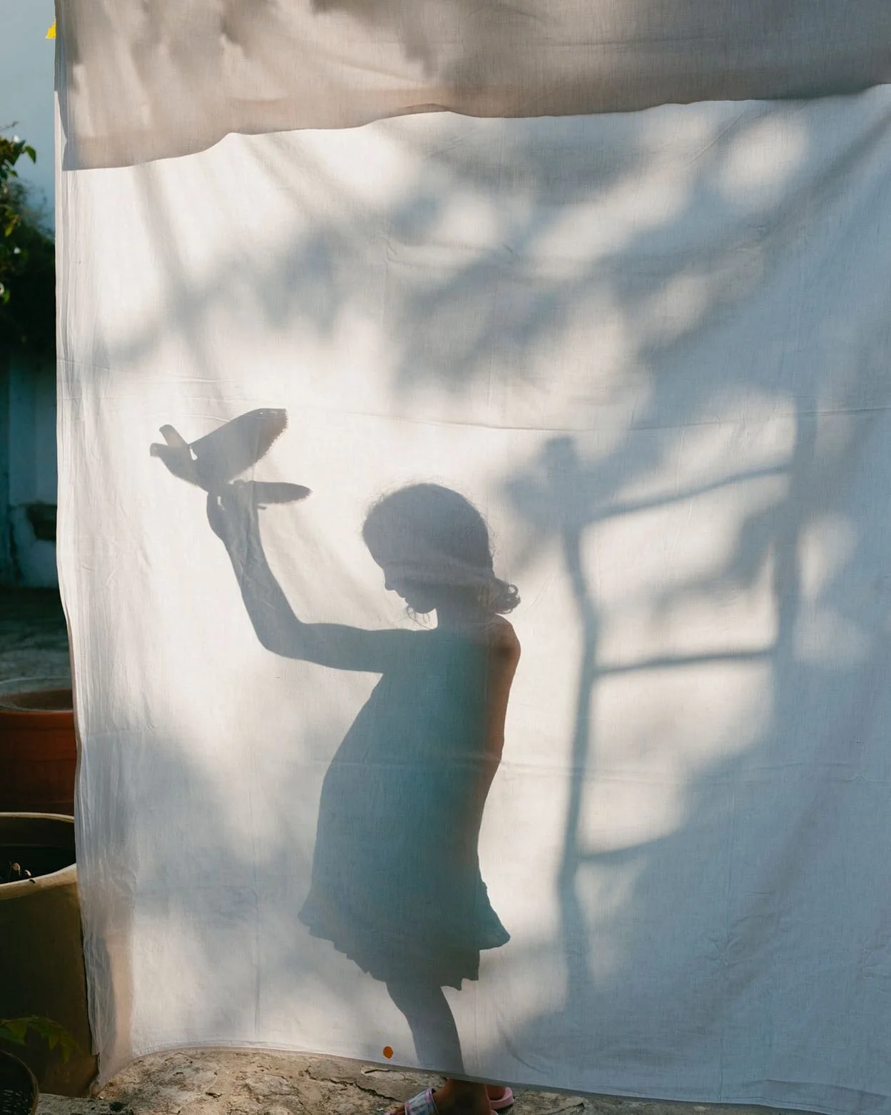 🕊
.
@stocksyunited 
#stocksy #stocksyunited #stockphotography