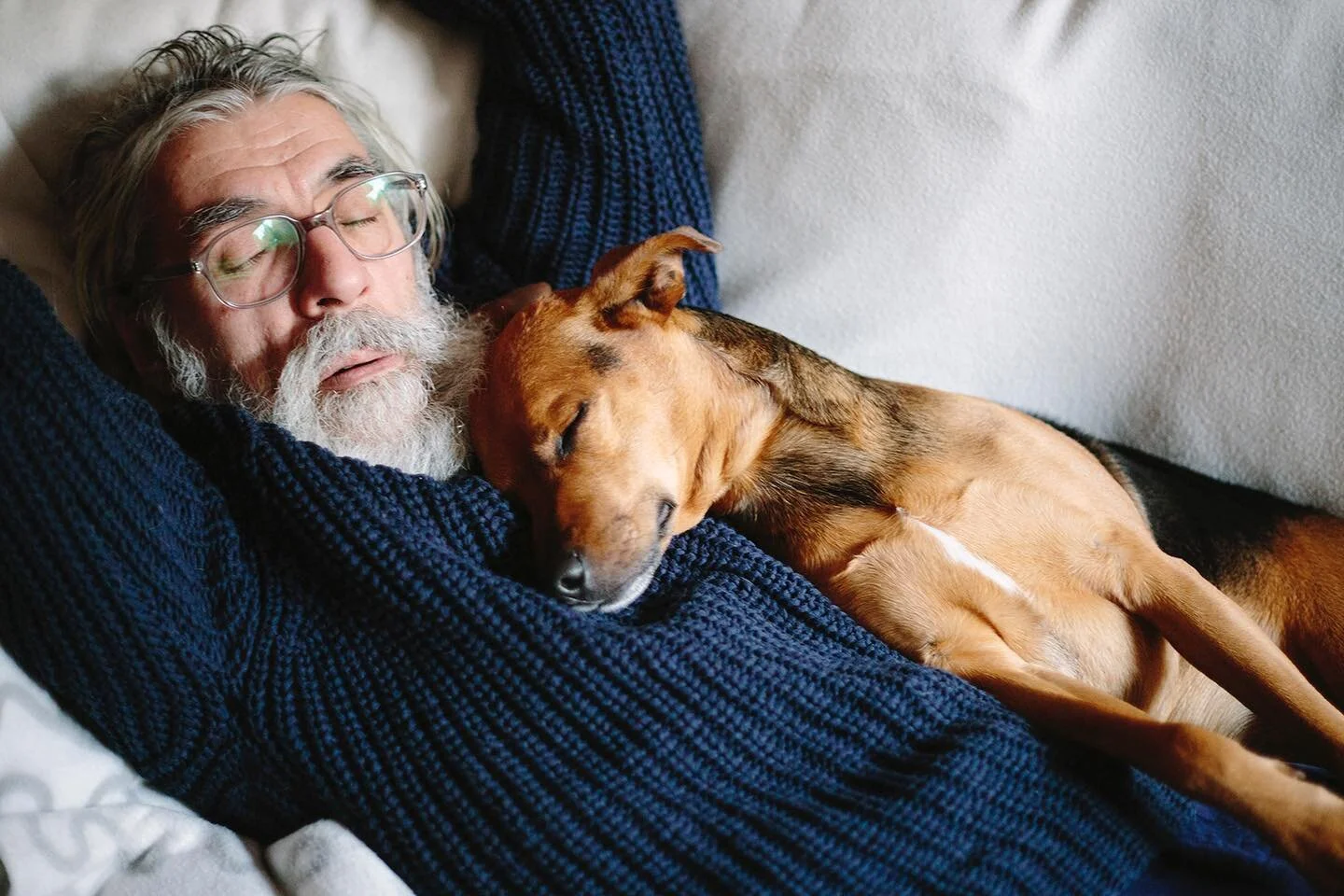 It&rsquo;s been so lovely to see my dad and our dearest Pincho napping on @stocksyunited homepage this past week.
❤️🐕
#truelove
.
#stocksyunited #pettherapy
