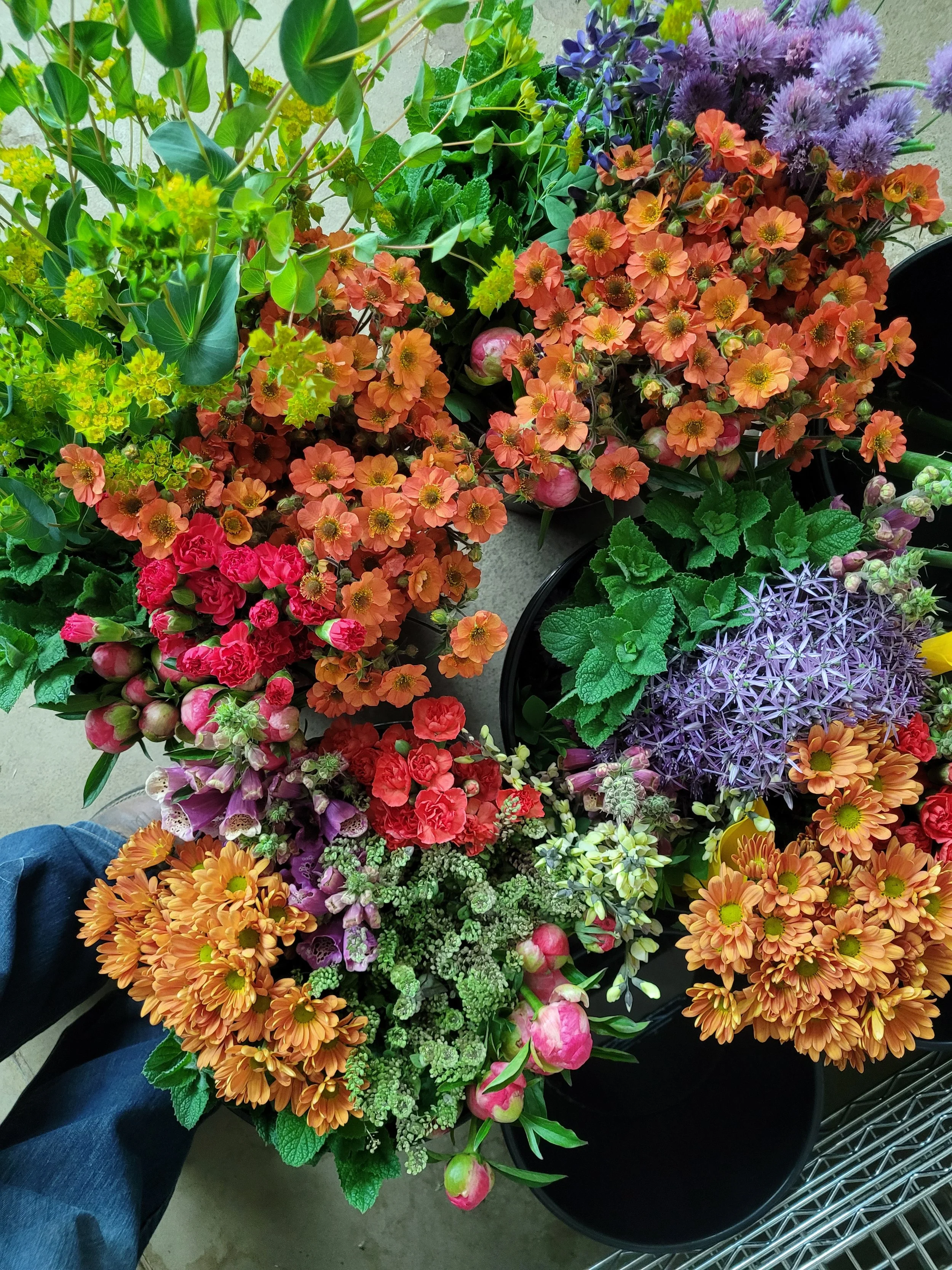 20250617_114300 - Copy.jpg