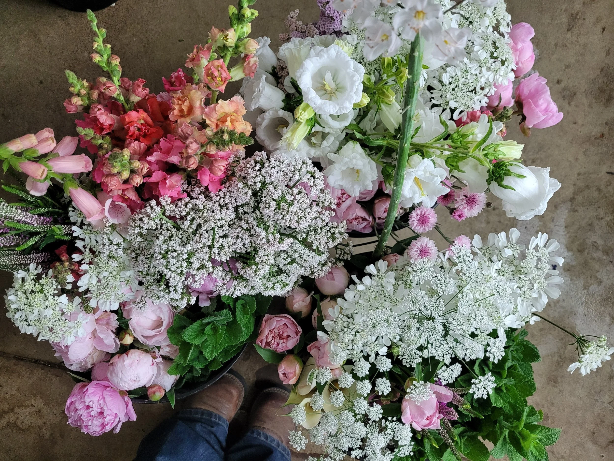 20250619_172513 - Copy.jpg