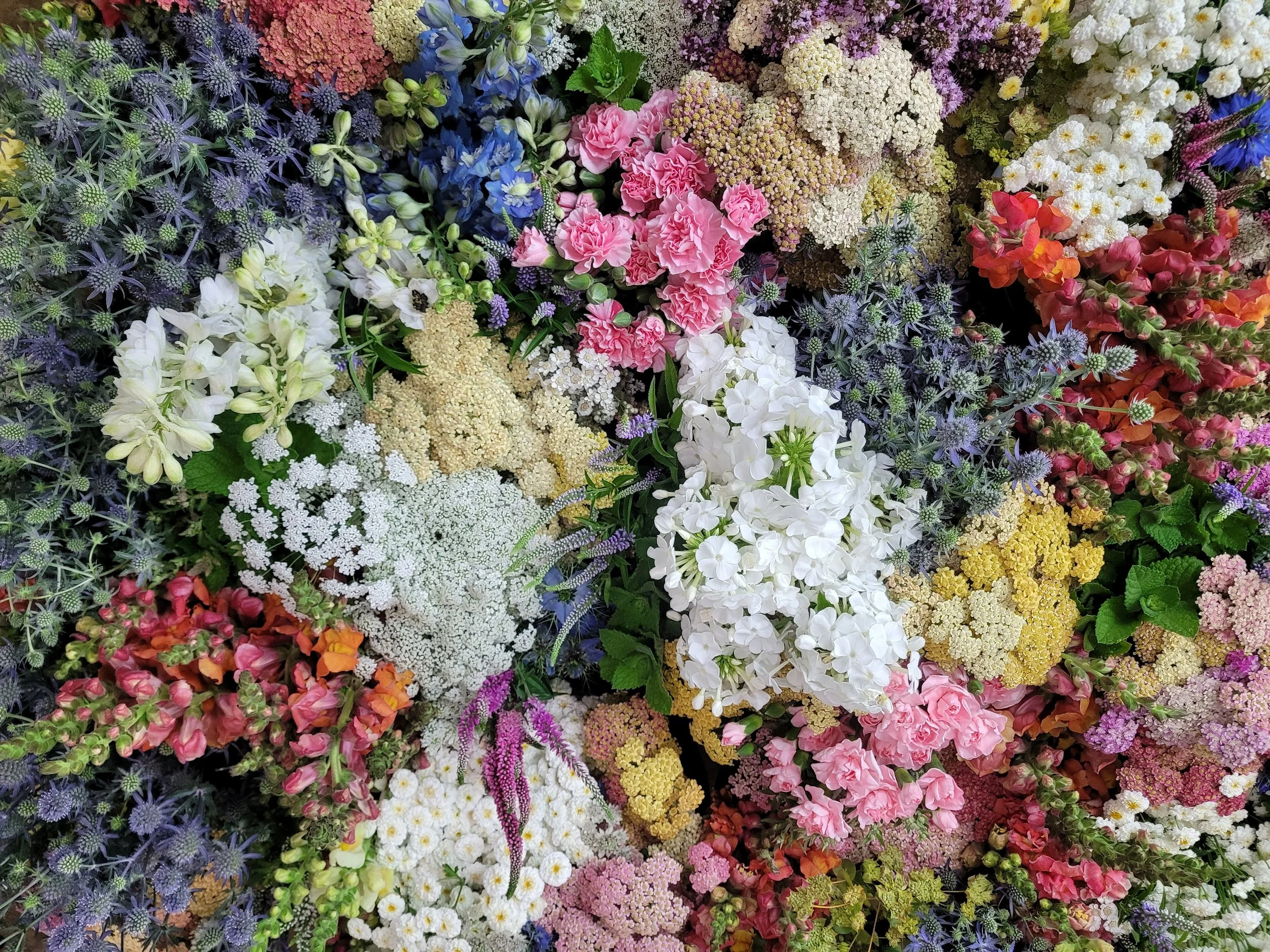 20250722_160457 - Copy.jpg