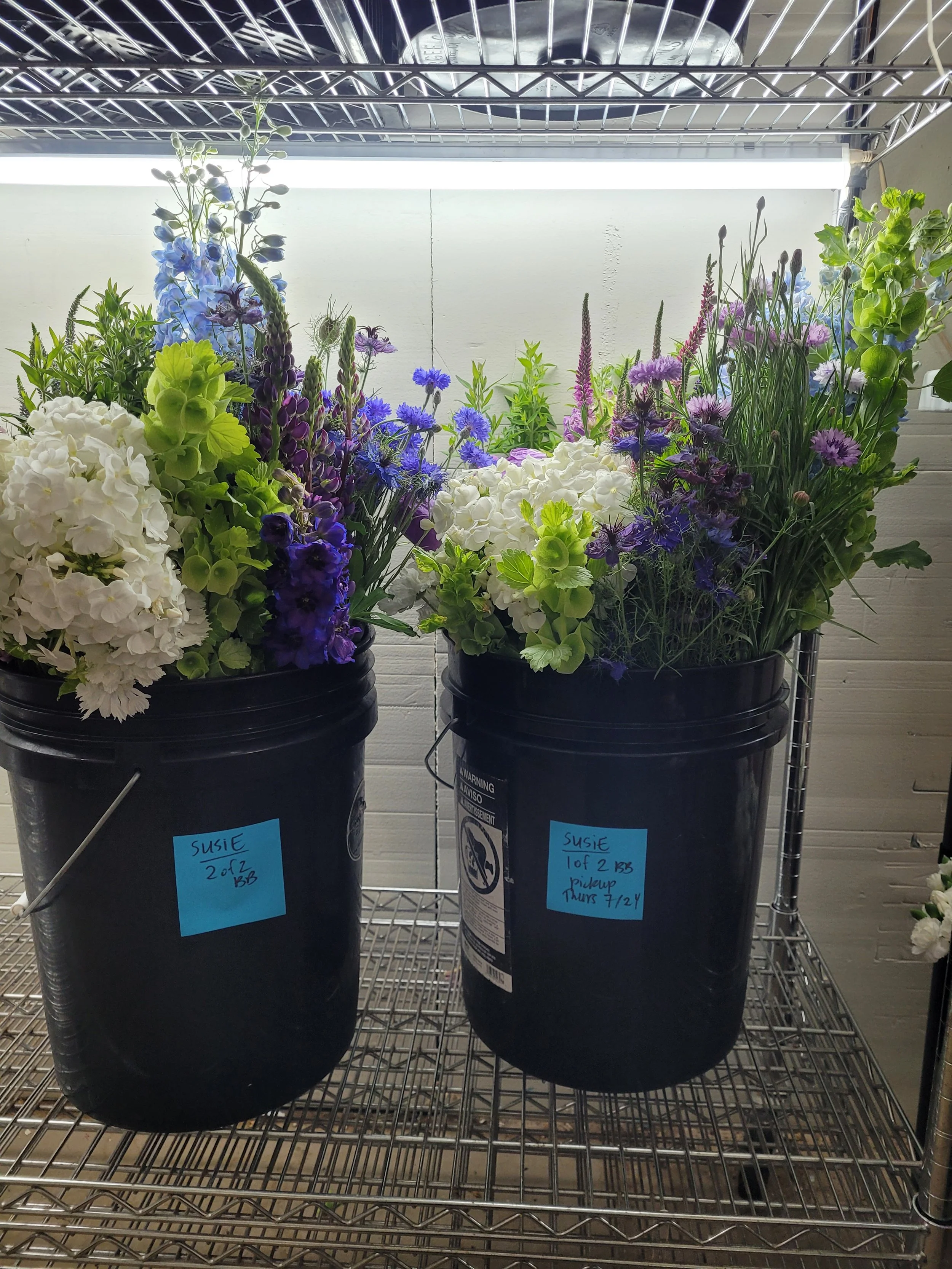 20250722_160558 - Copy.jpg