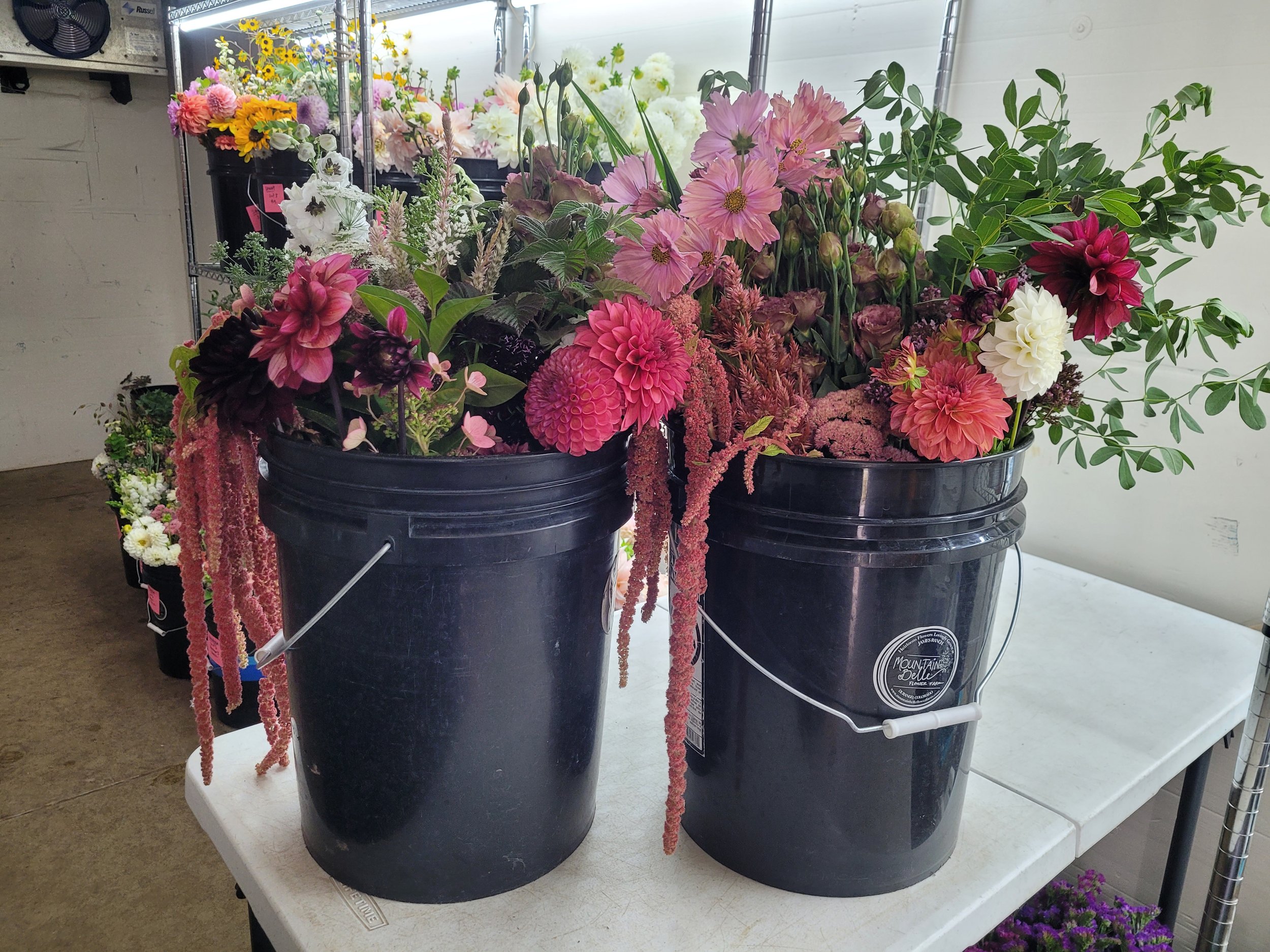 20250909_153637 - Copy.jpg