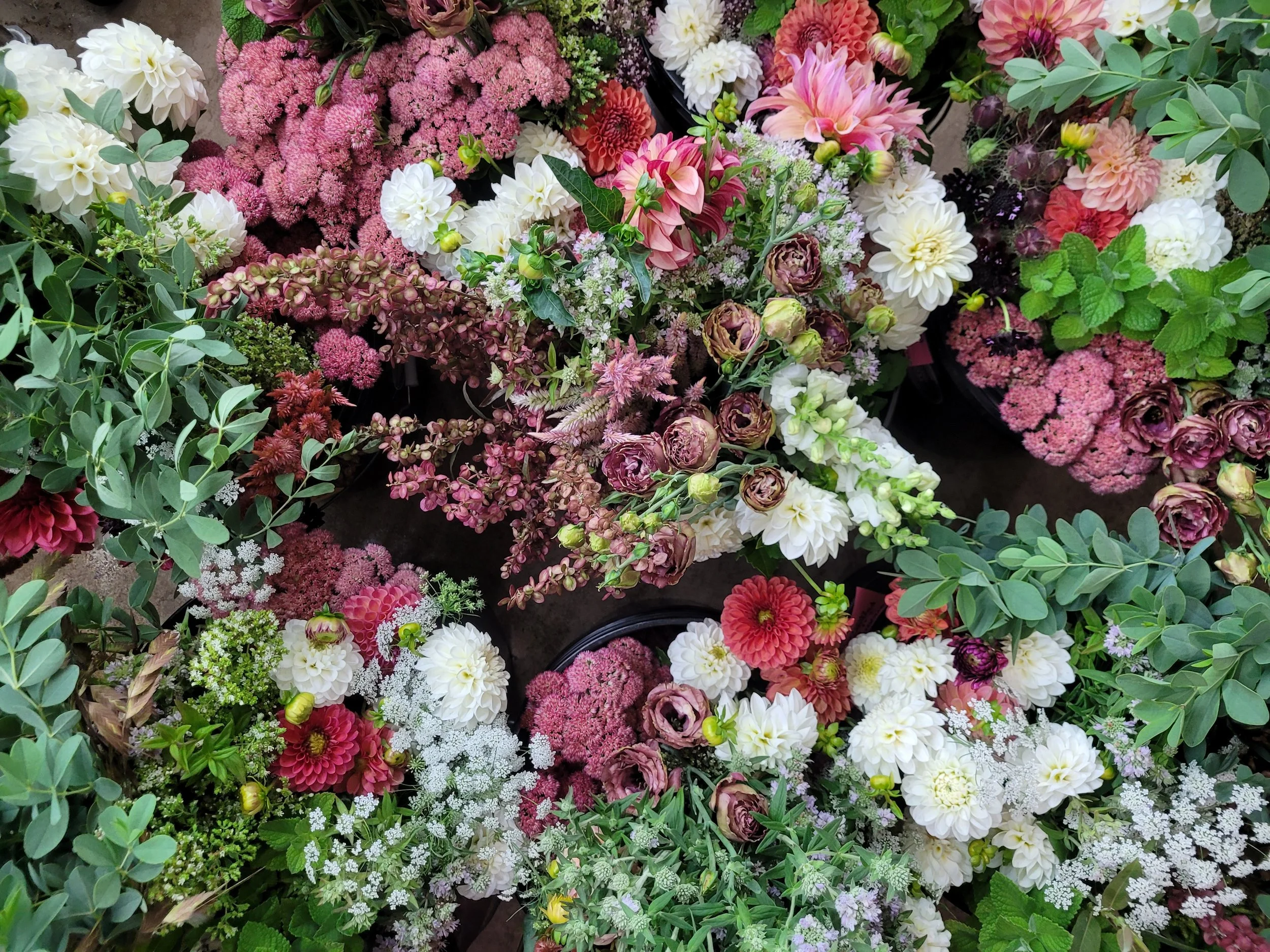 20250909_153852 - Copy.jpg