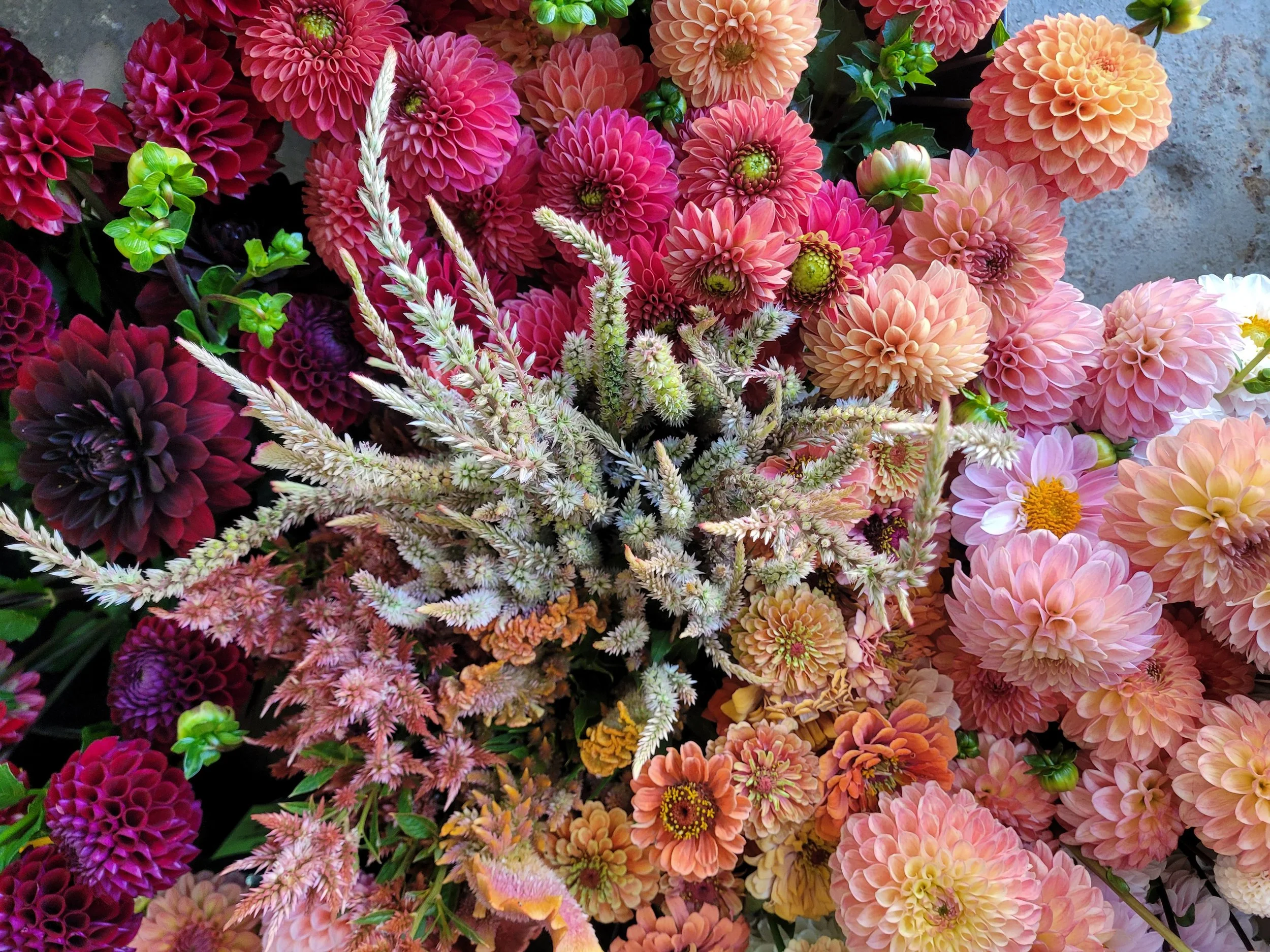 20250902_111134 - Copy.jpg