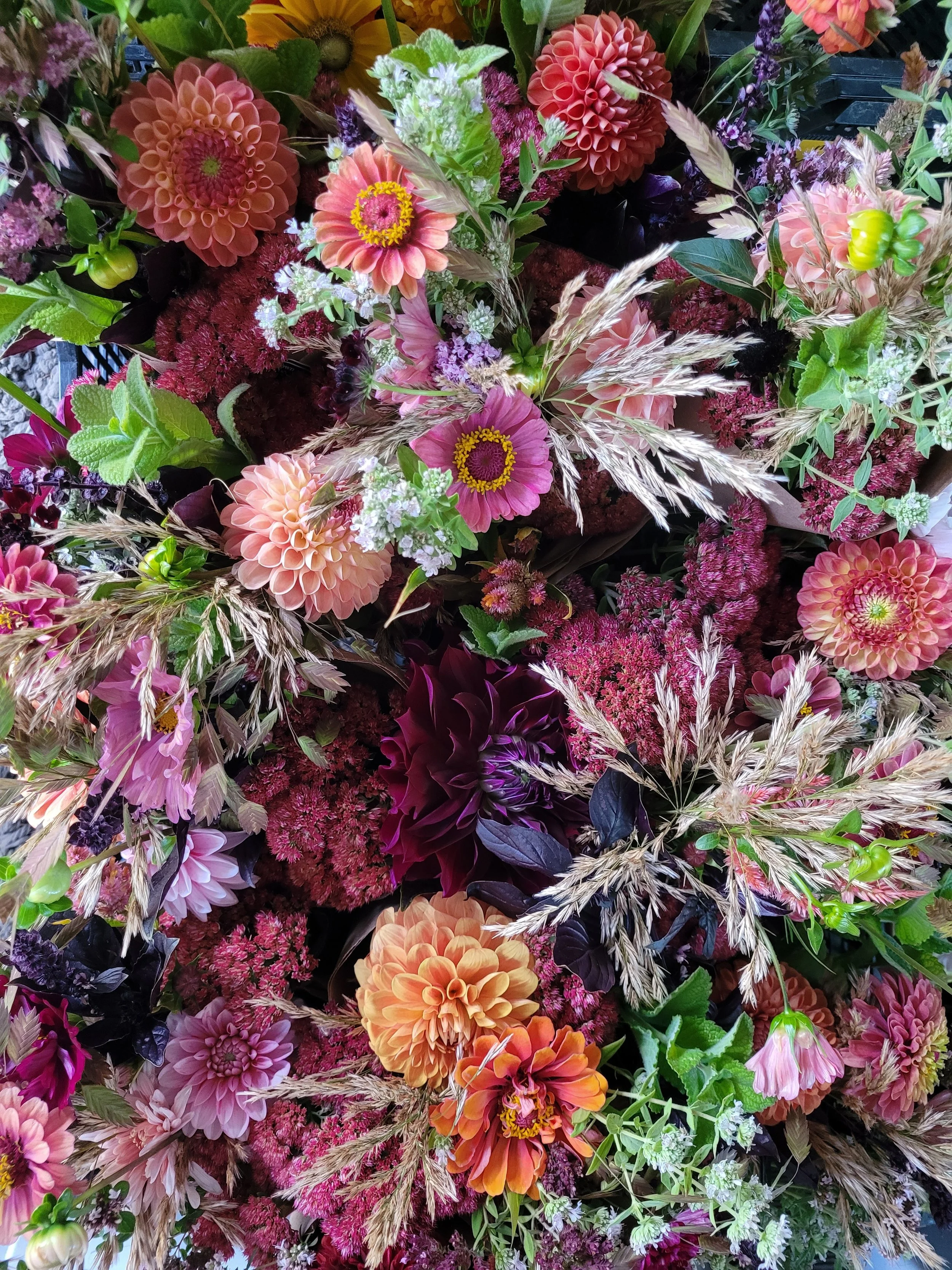 20250918_180748 - Copy.jpg