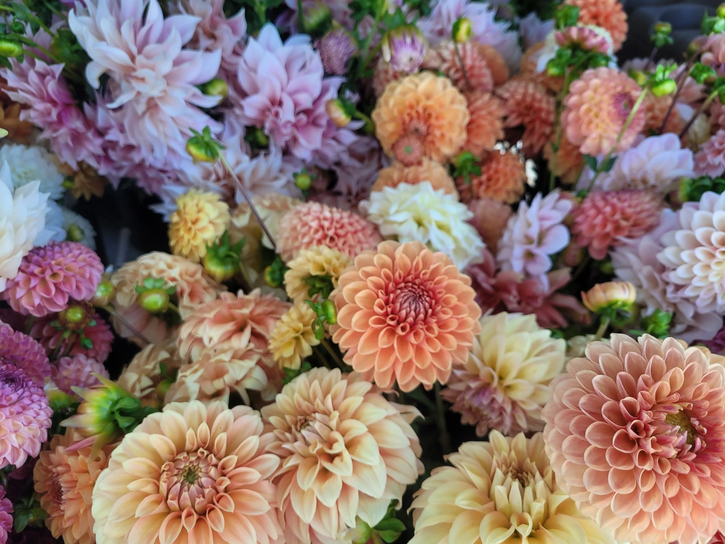 20220907_111403 - Copy.jpg