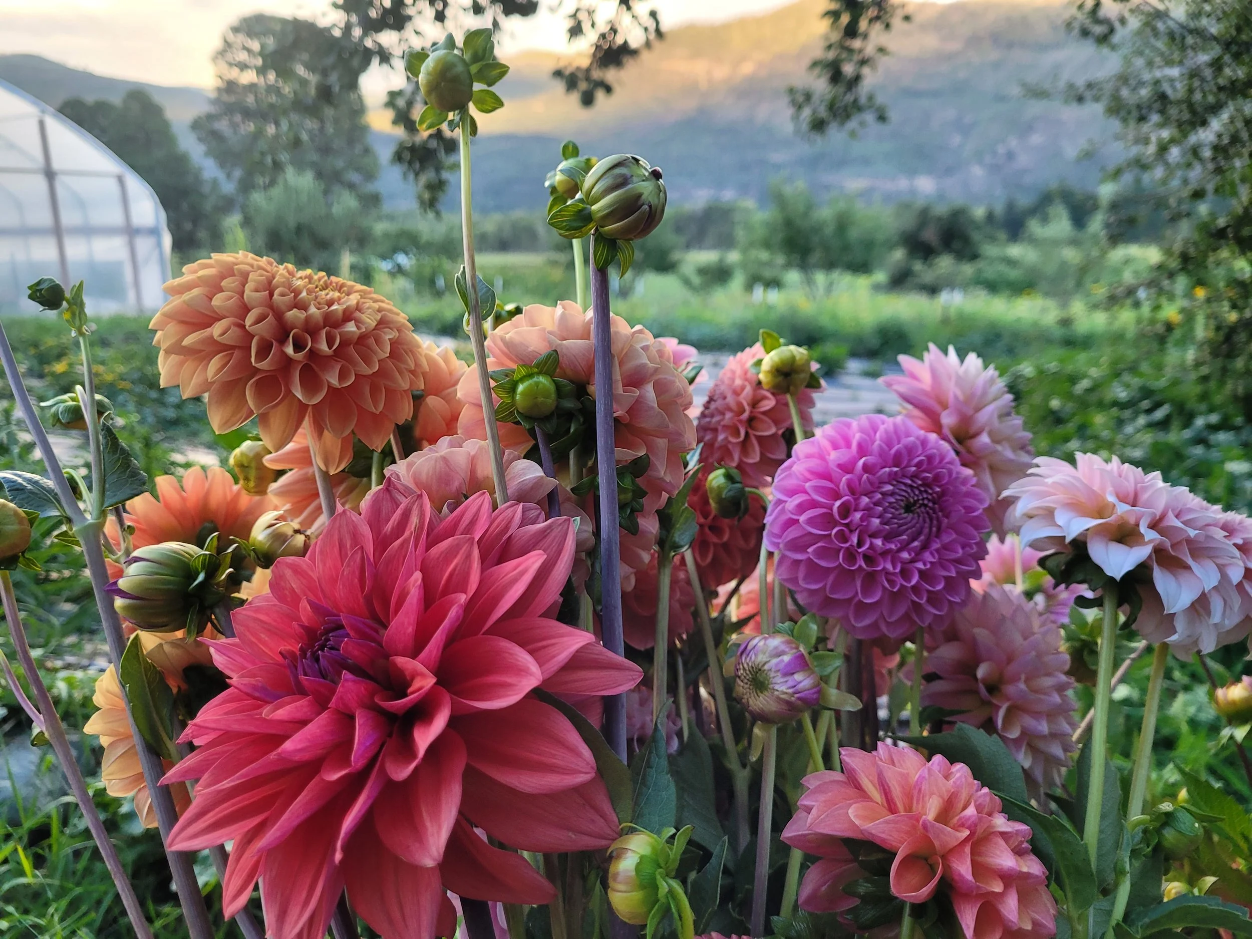 20220902_191416 - Copy.jpg