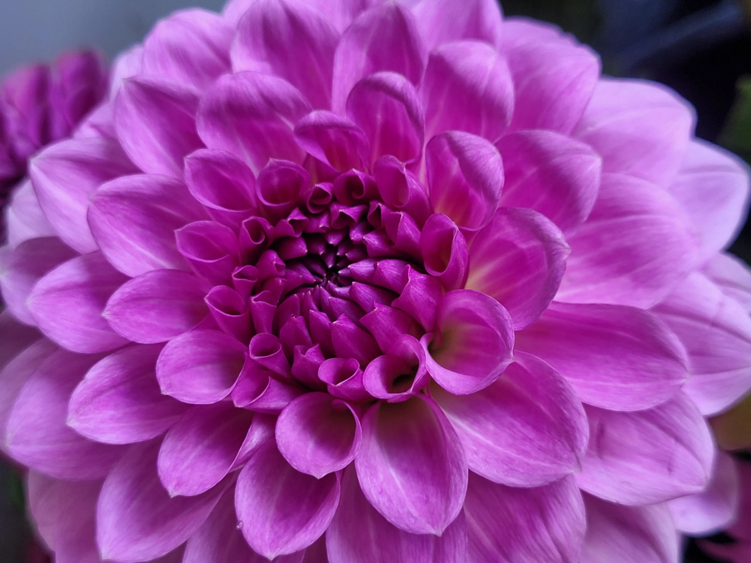 20250901_110843 - Copy.jpg