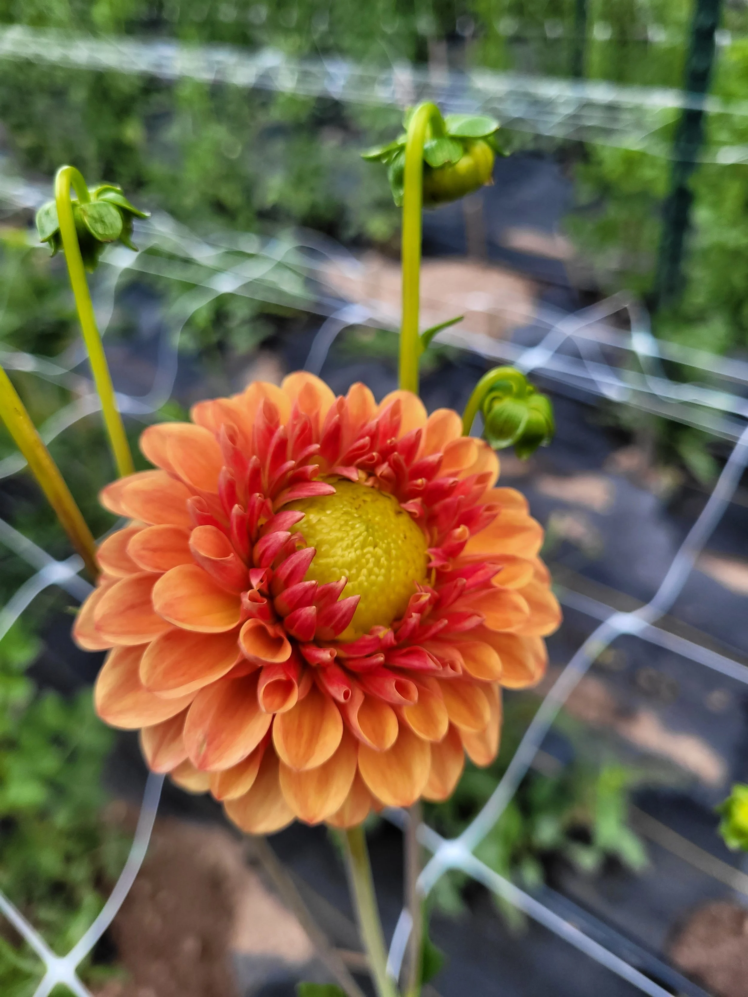 20250907_114837 - Copy.jpg