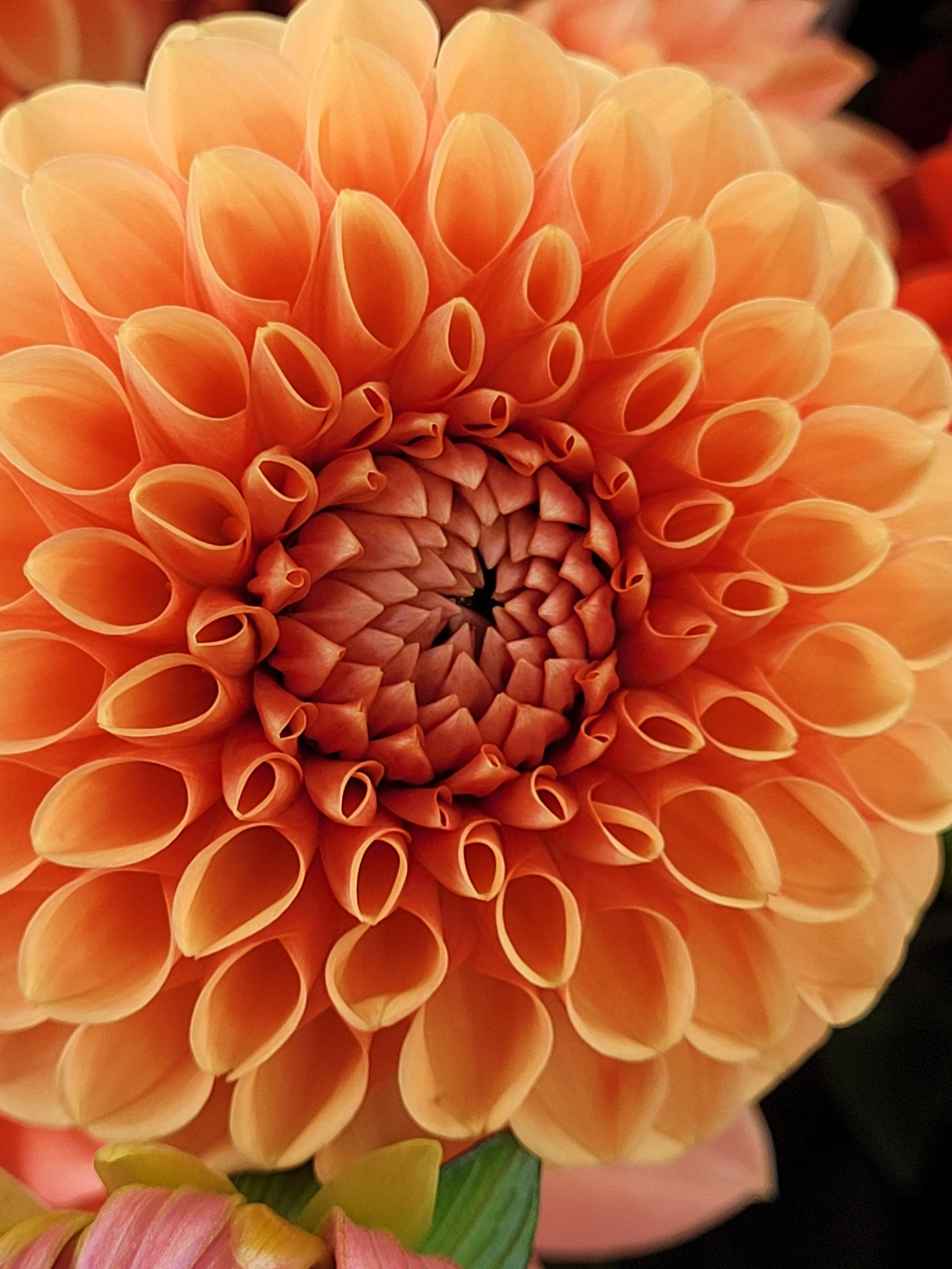 20250922_111200 - Copy.jpg