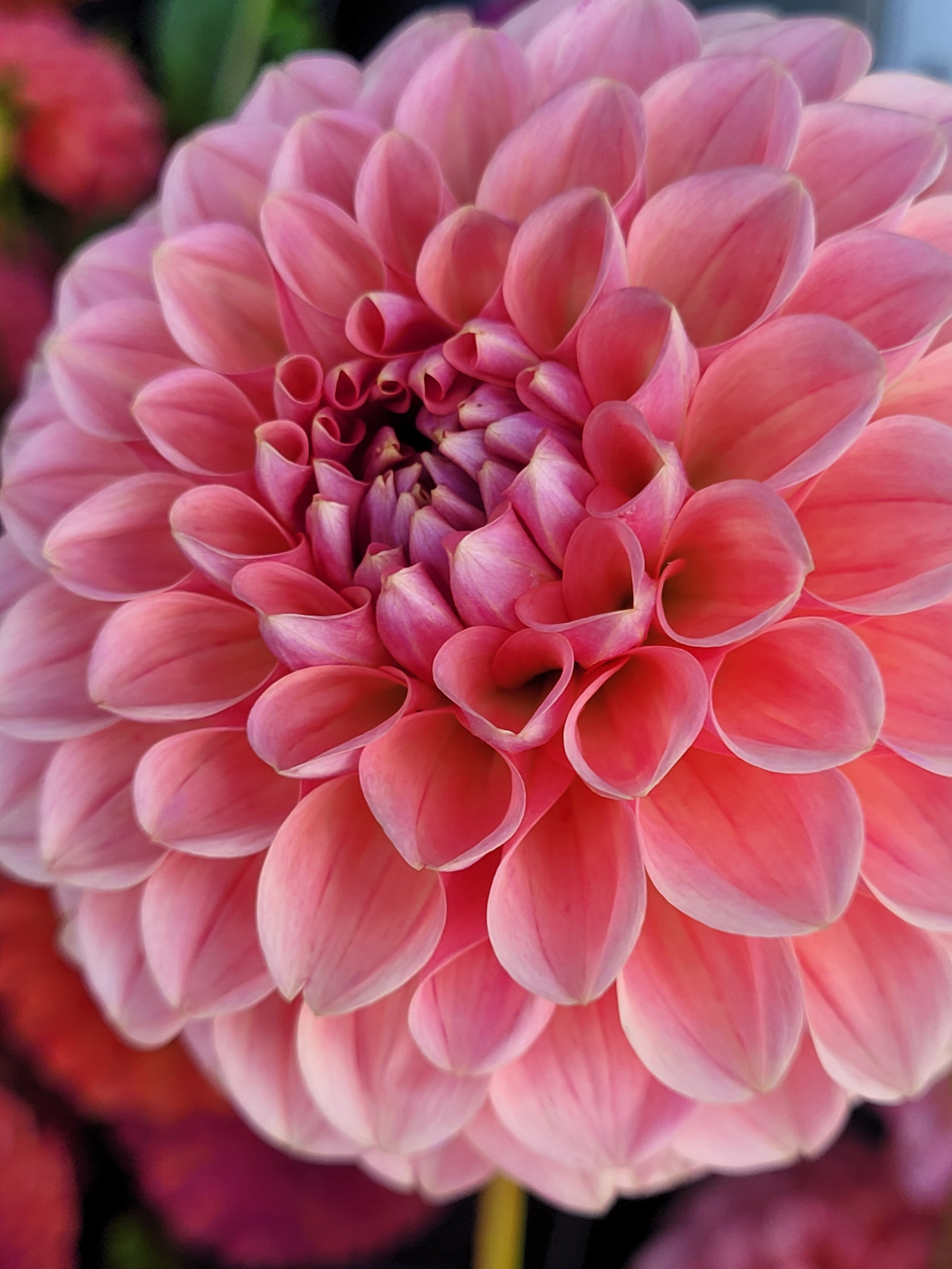 20250901_111000 - Copy.jpg