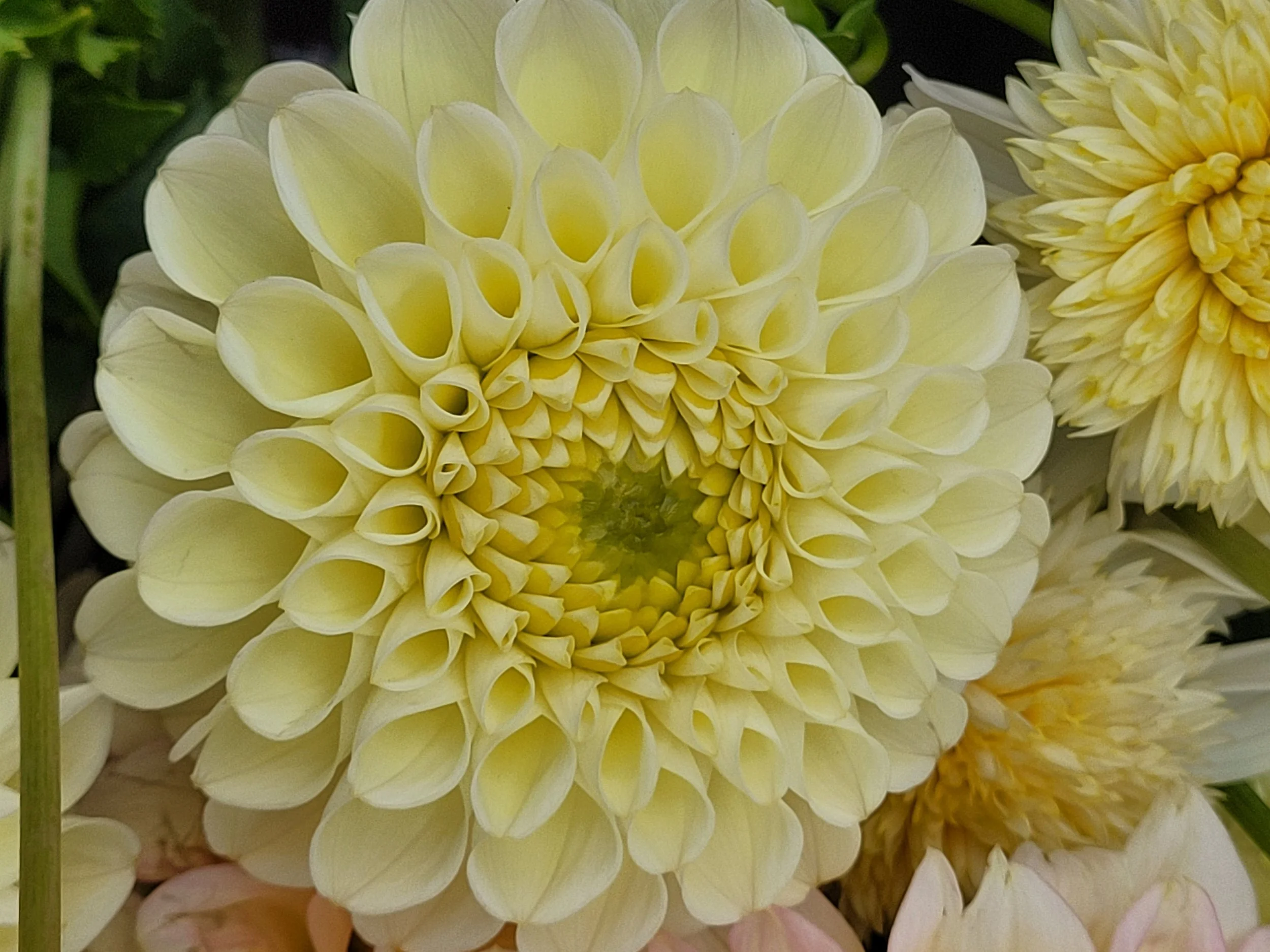 20250922_111702 - Copy.jpg