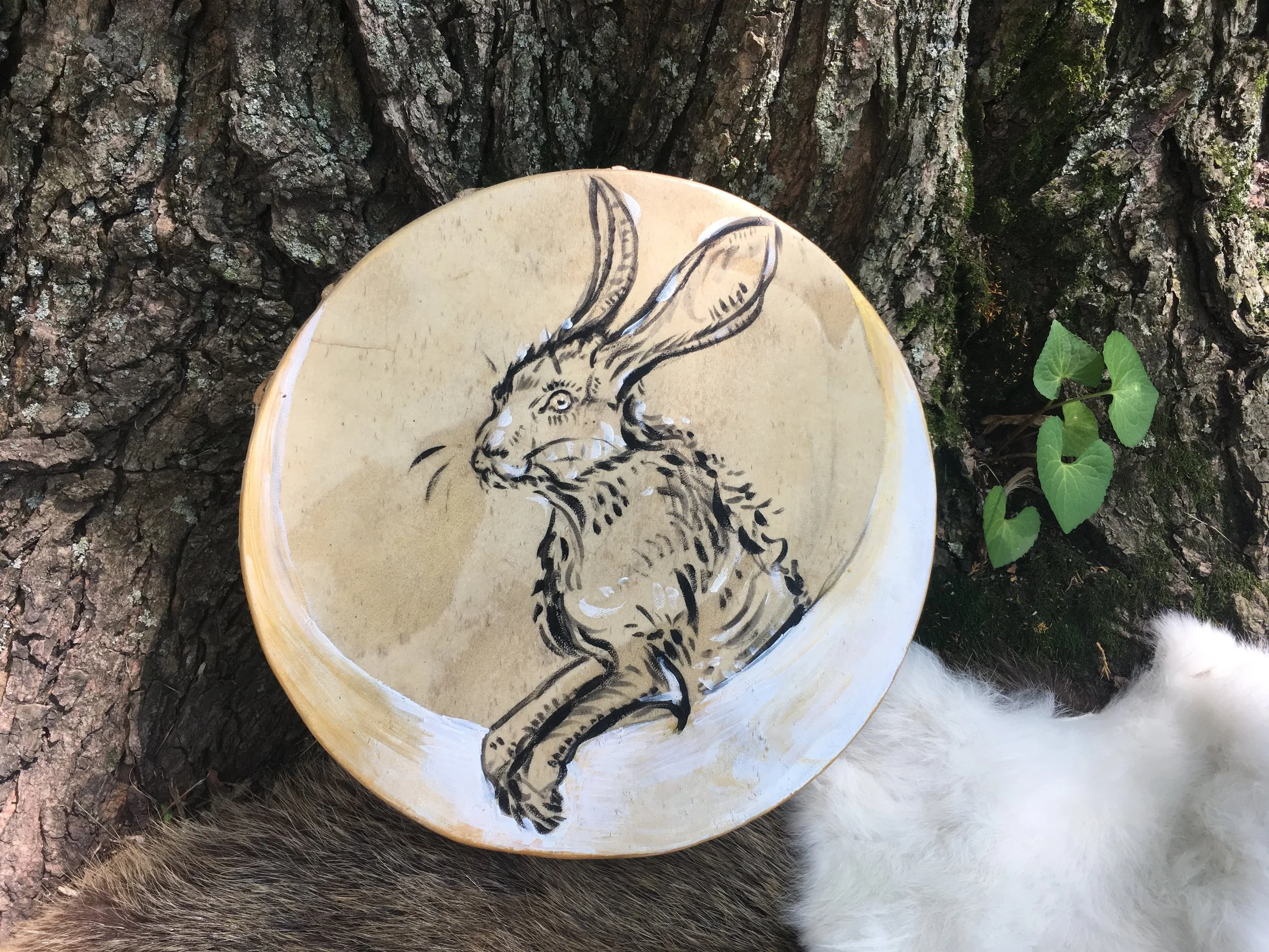 Hare--Painted 10" Drum