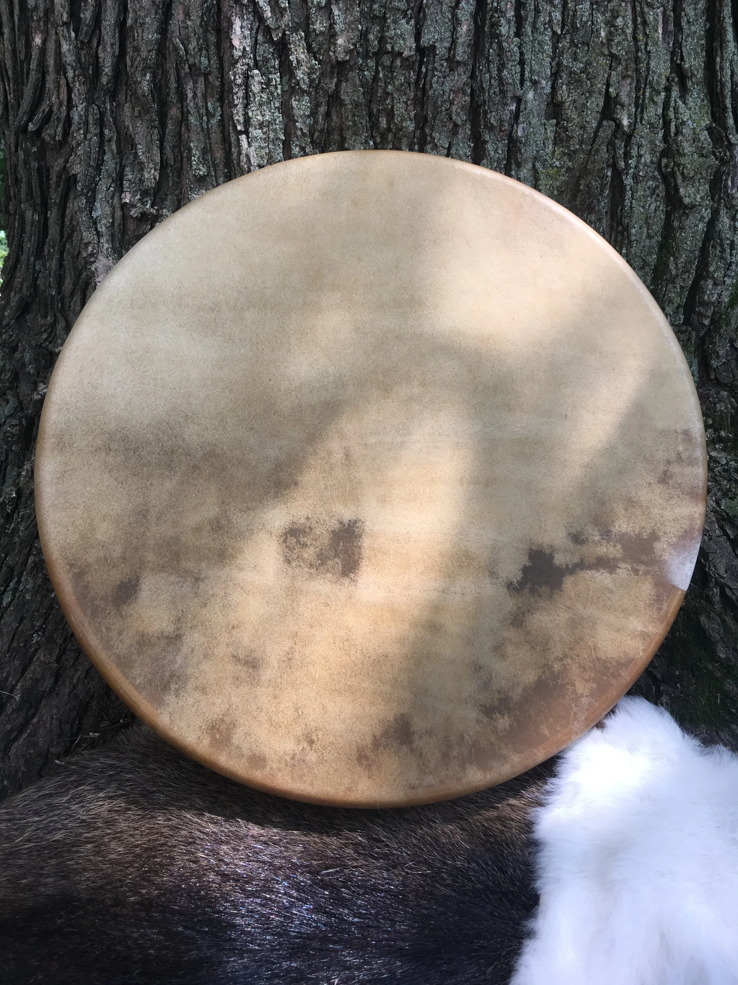 18" Rawhide Hand Drum