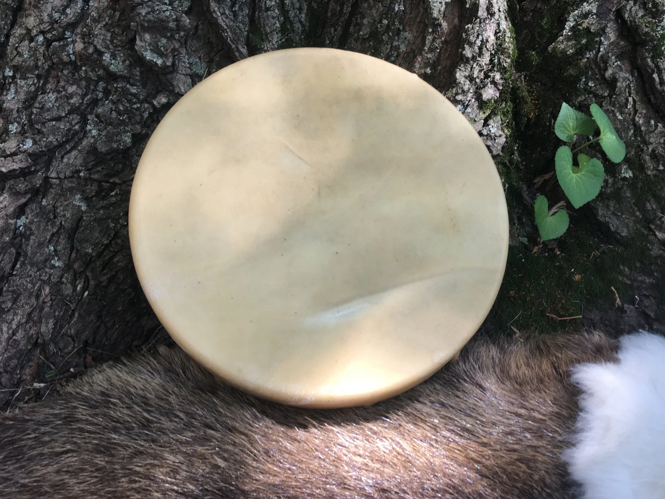 10" Rawhide Hand Drum