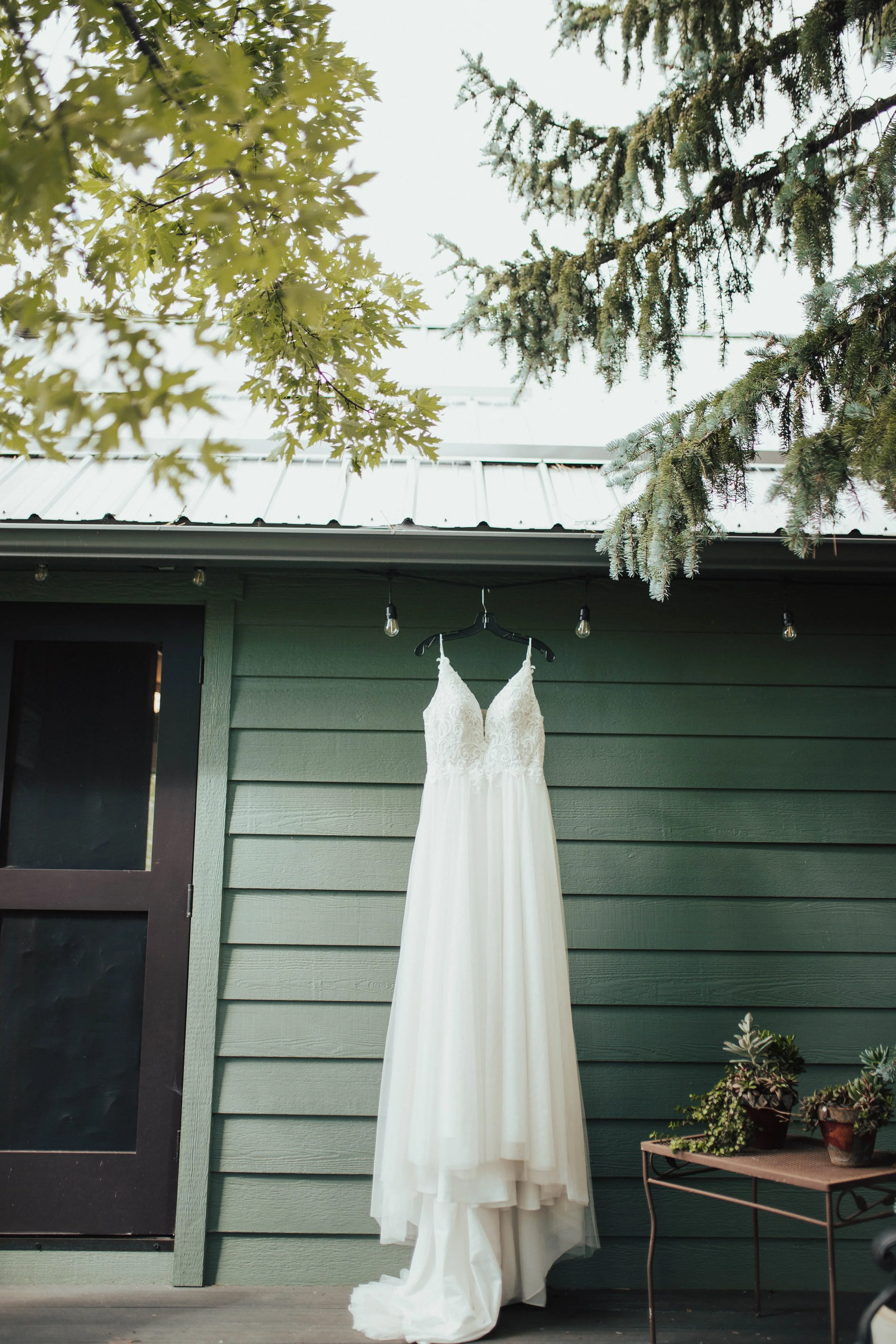 Stephanie and Matt Pinetop Mountain Wedding