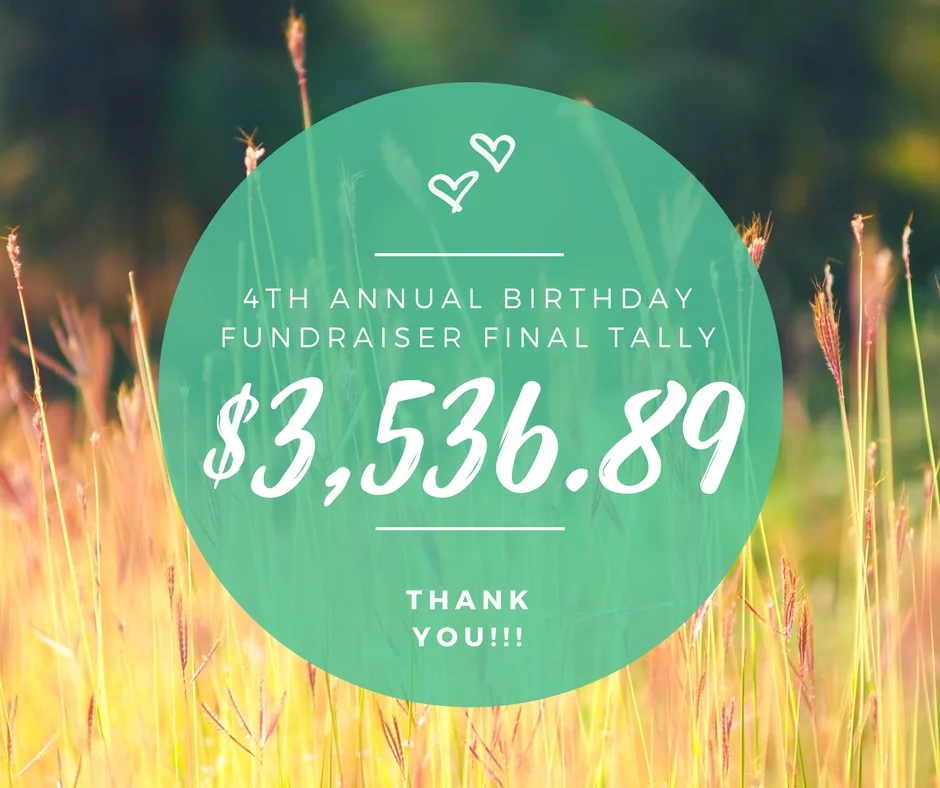 4th annual birthday fundraiser final tally.jpg