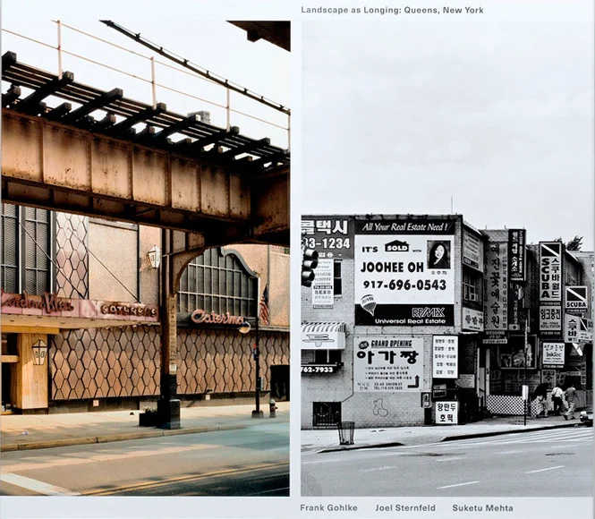 Landscape-As-Longing-Queens-New-York.jpg