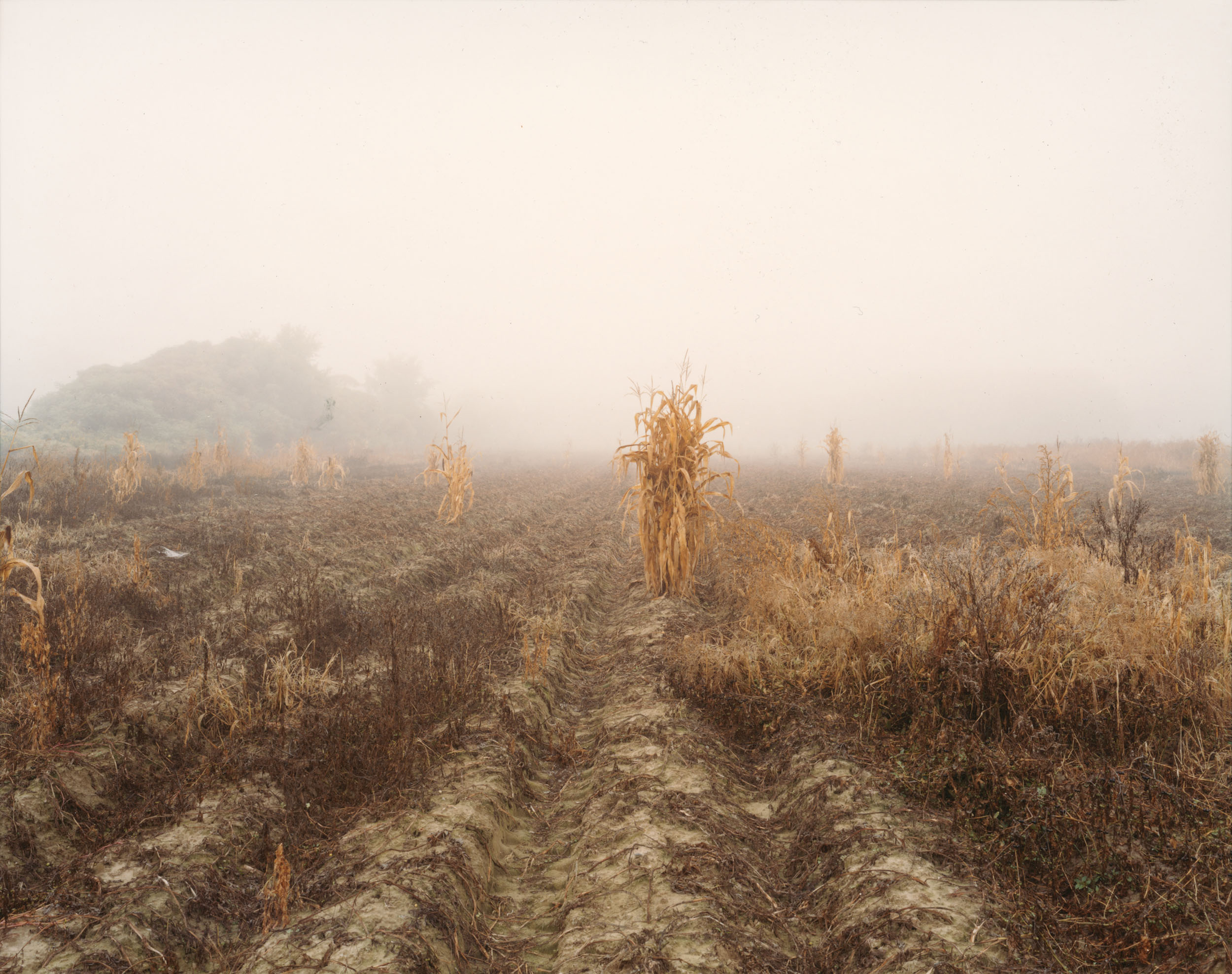 The East Meadows, Northampton, Massachusetts, September 30 2006