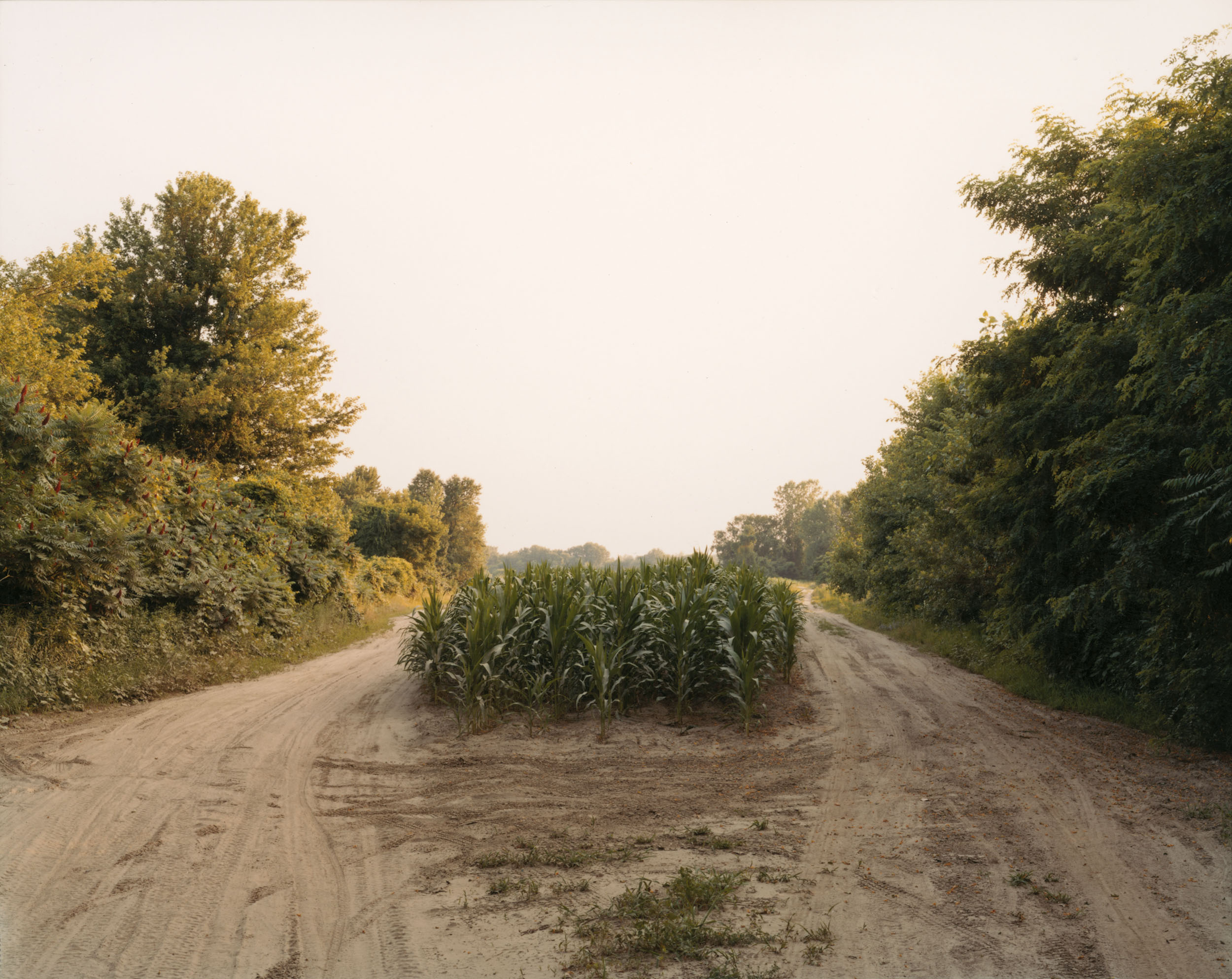 The East Meadows, Northampton, Massachusetts, July 16, 2006