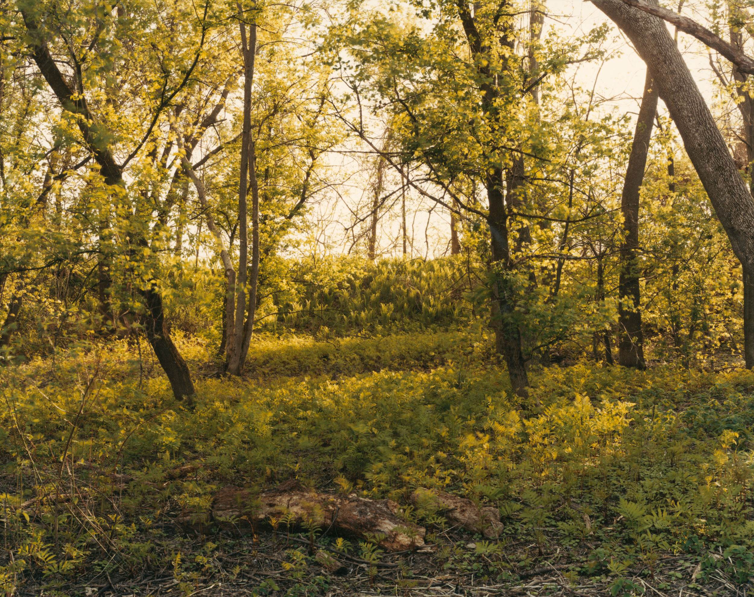 The East Meadows, Northampton, Massachusetts