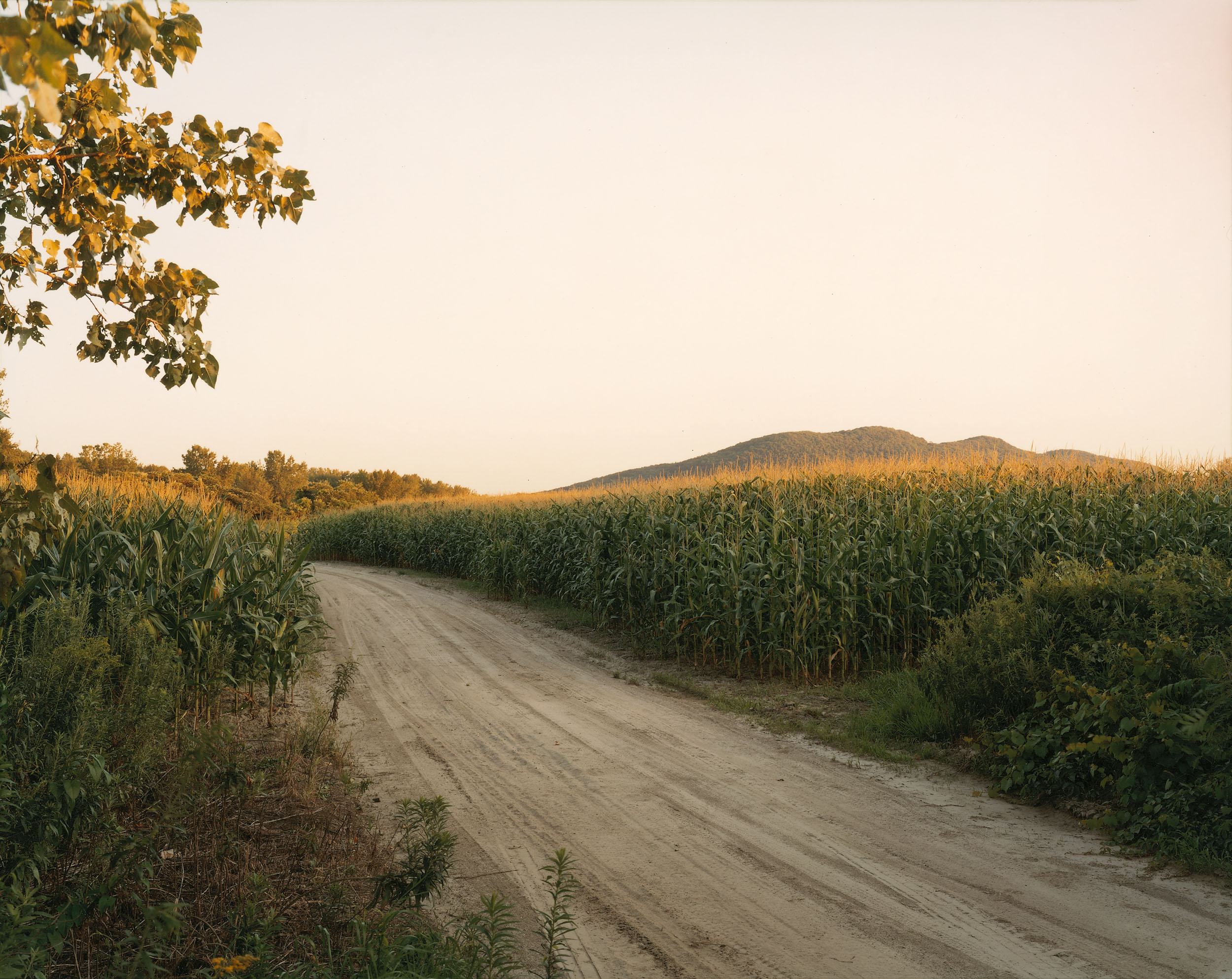 The East Meadows, Northampton, Massachusetts, August 19, 2006